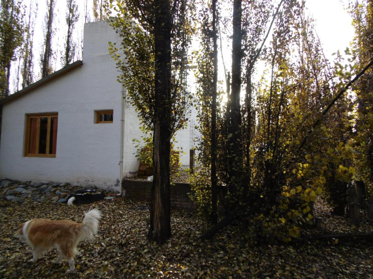 Los Abedules Bungalow
