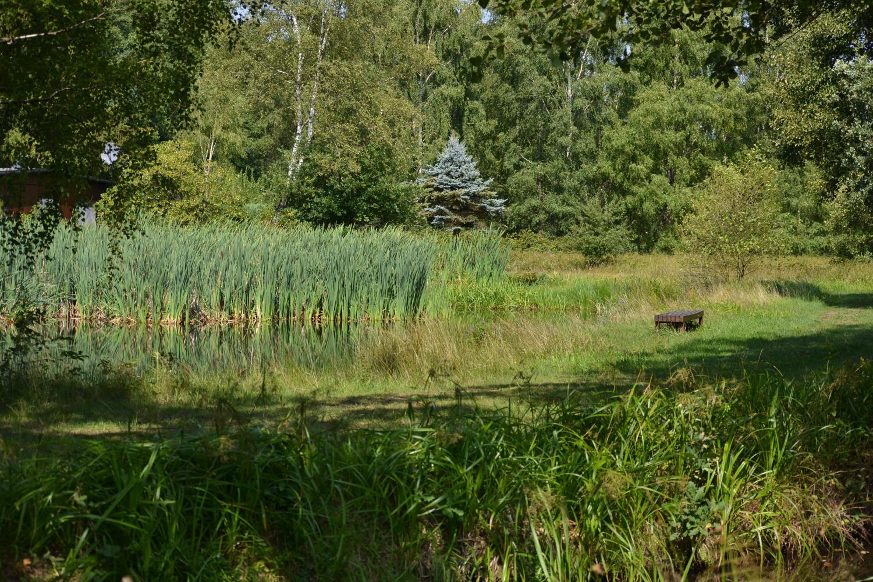 Ferienparadies Mühlenbach