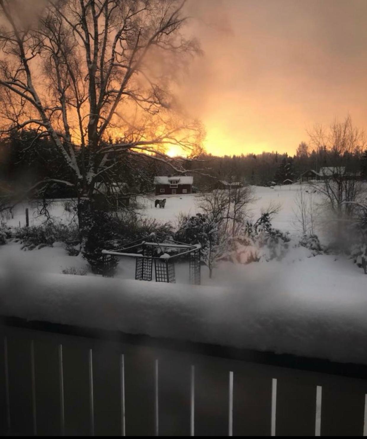 Det Gamla Panget view 4