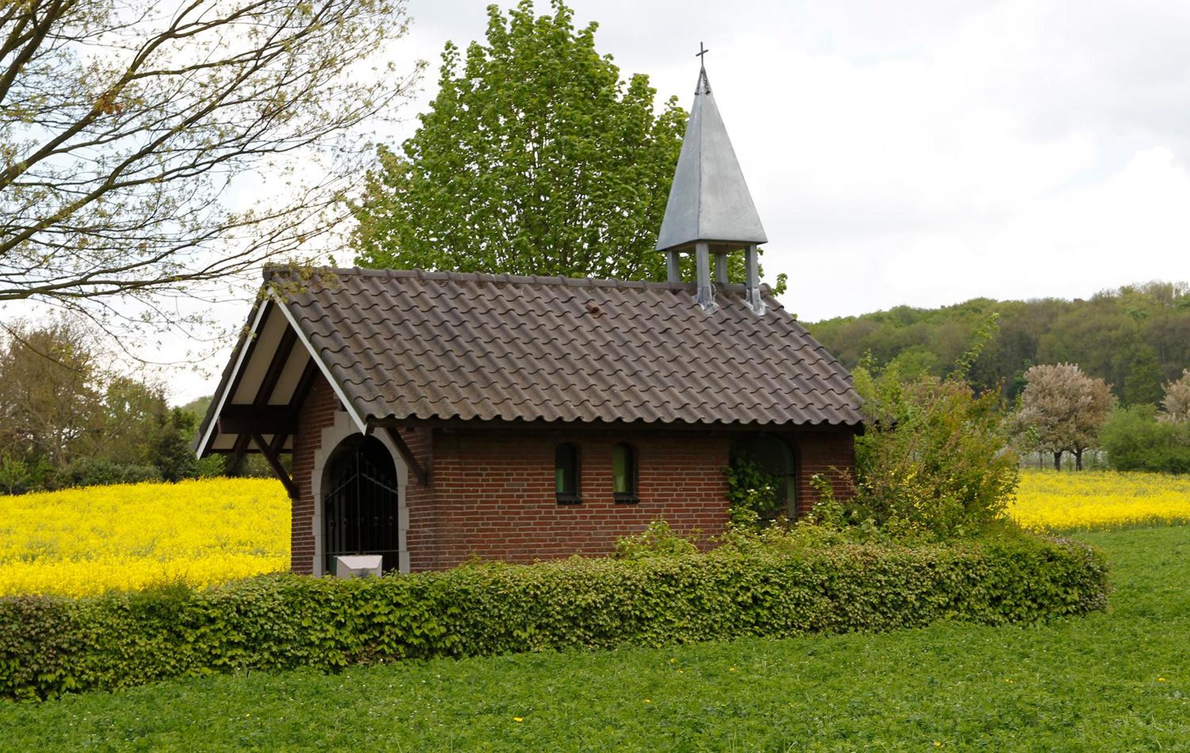 Photo 15