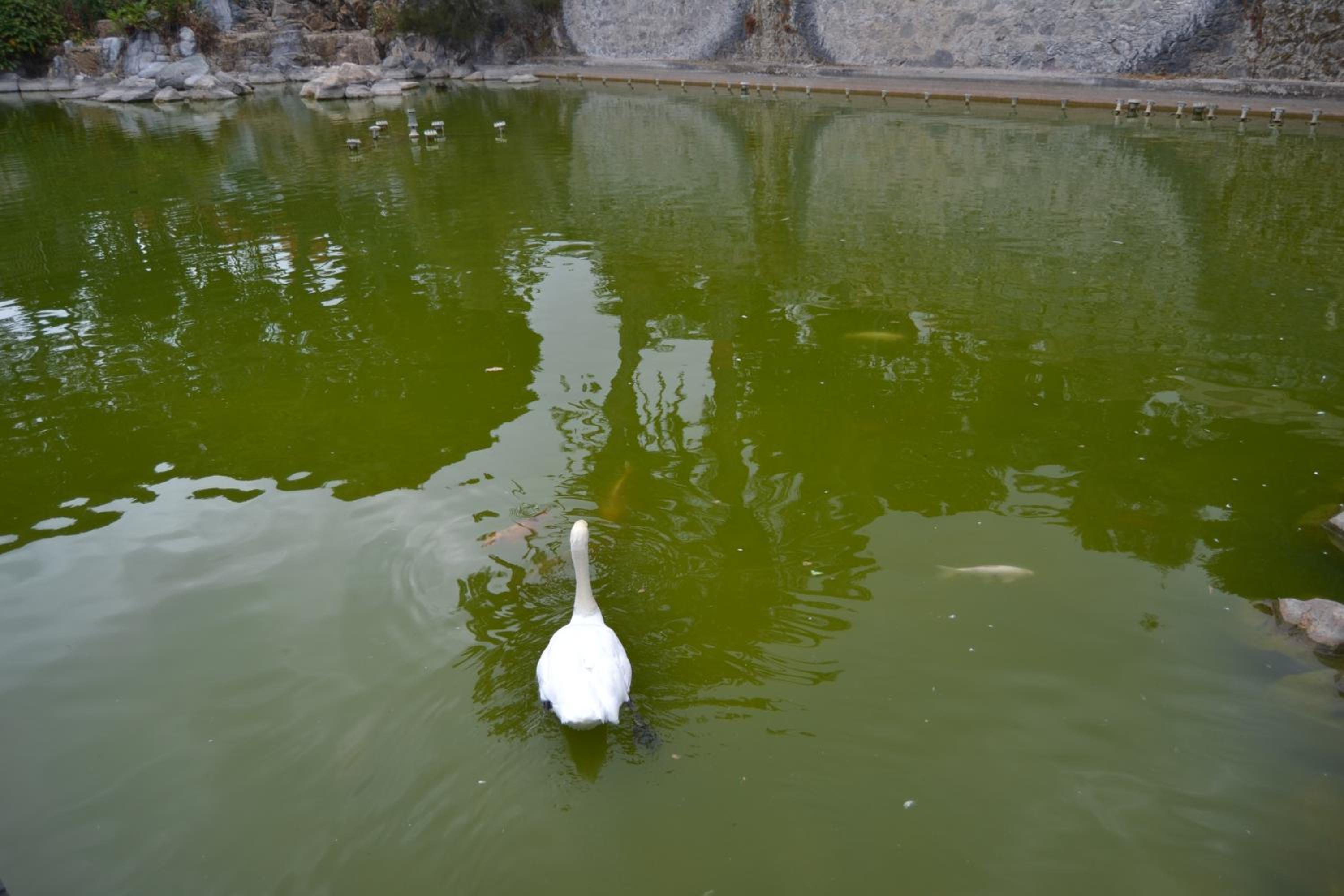 Photo 26