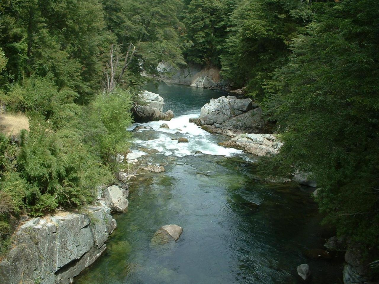 Photo 24