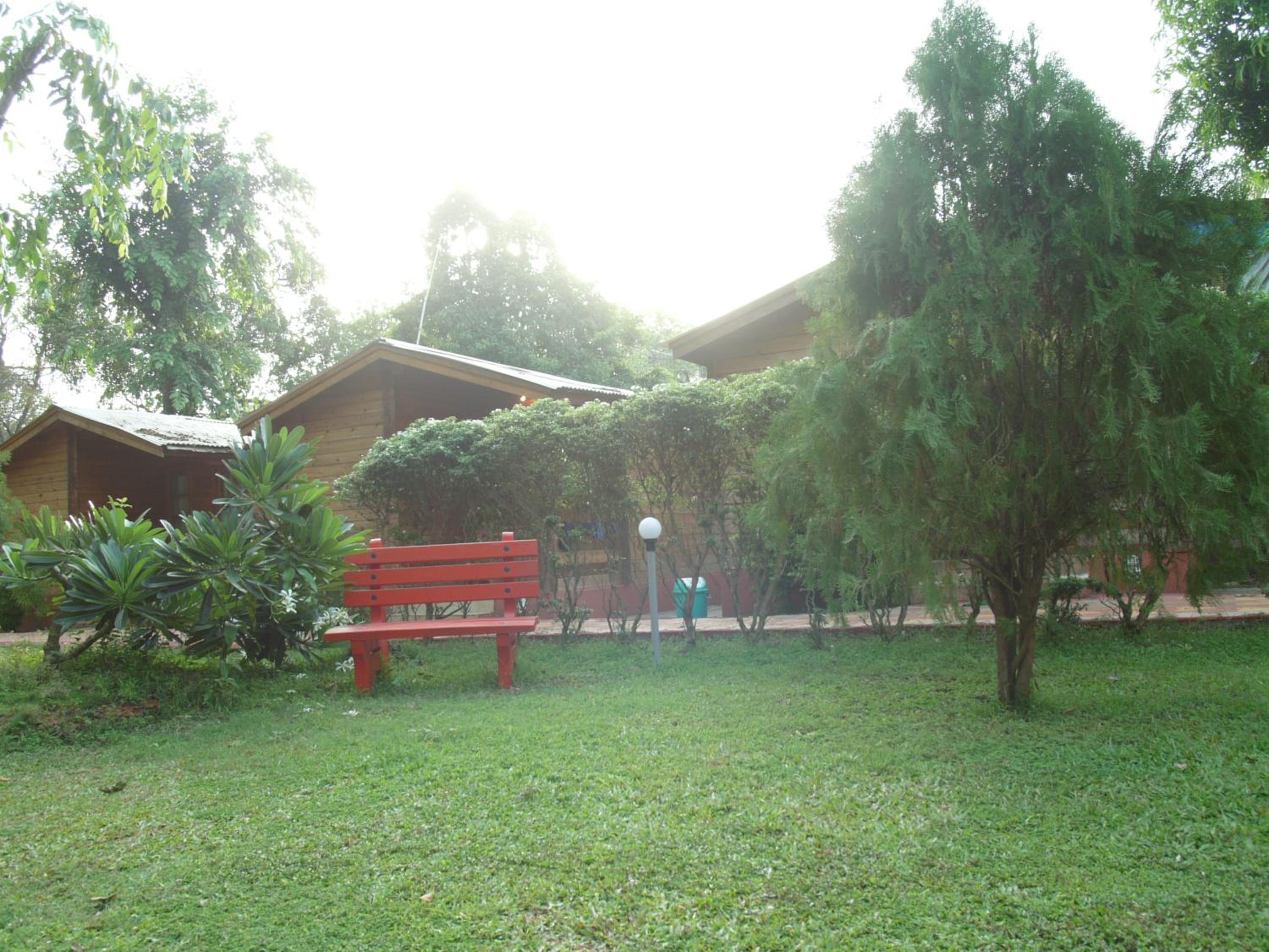 Photo 29