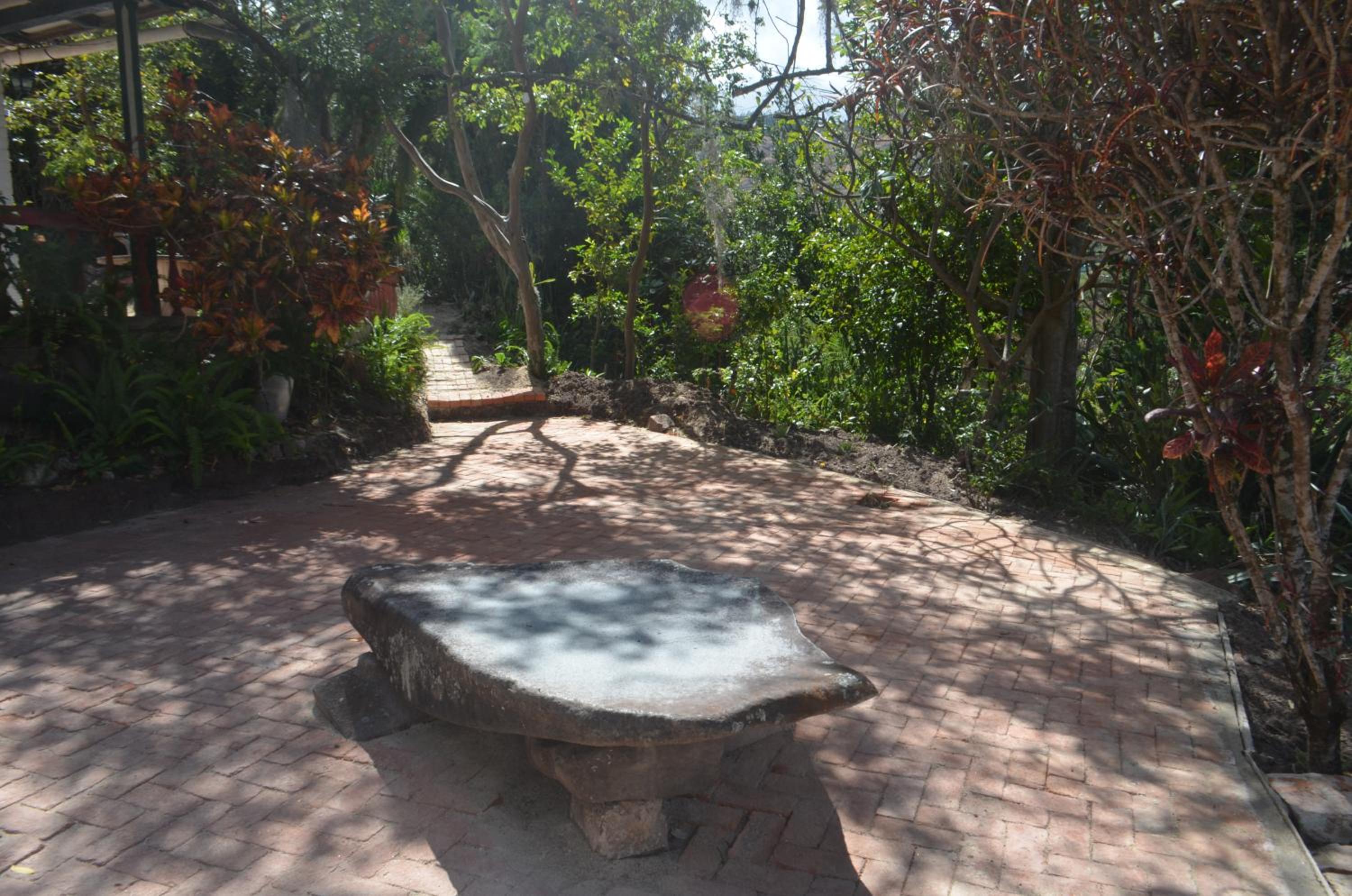 Photo 42