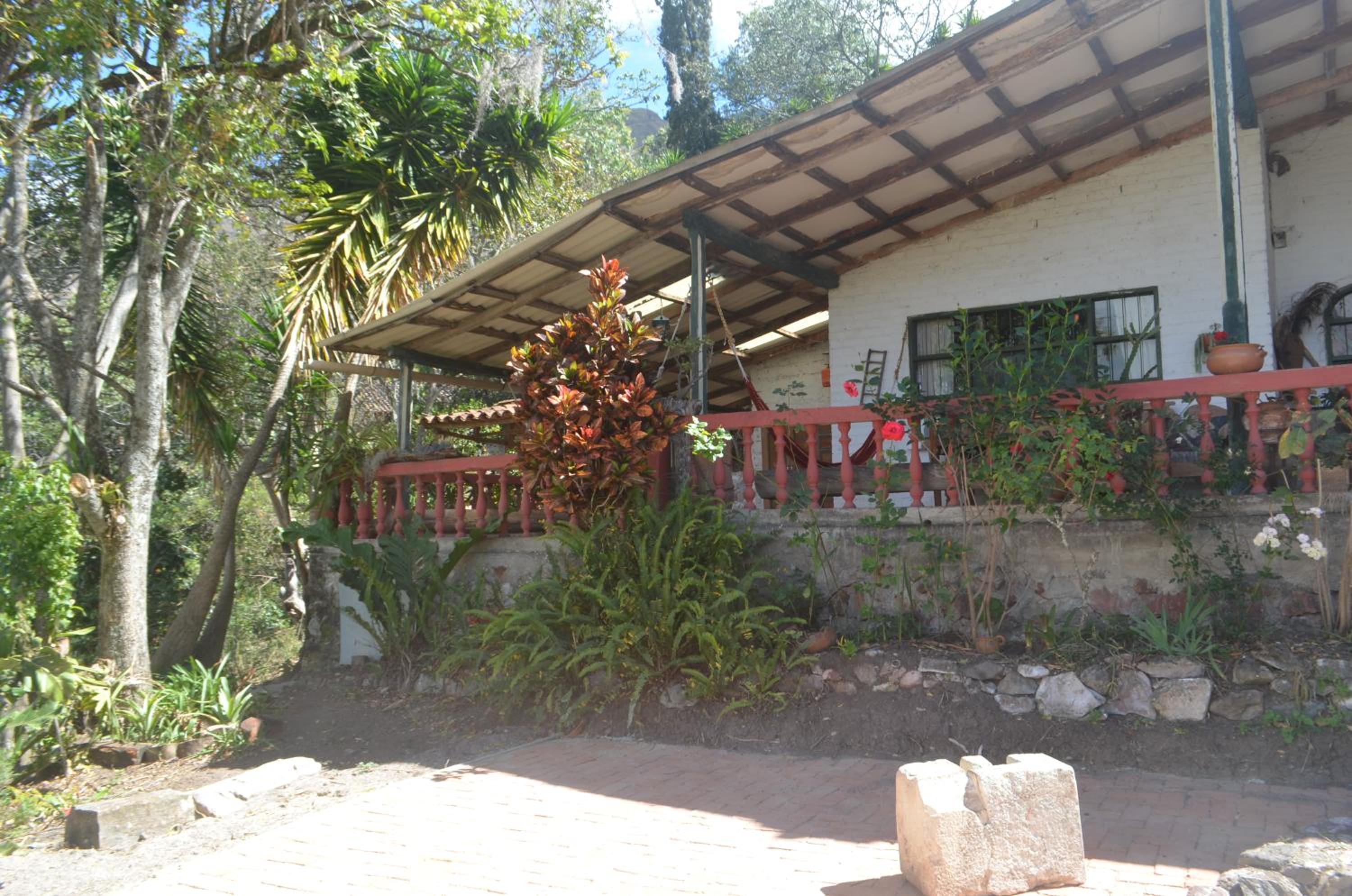 Photo 15