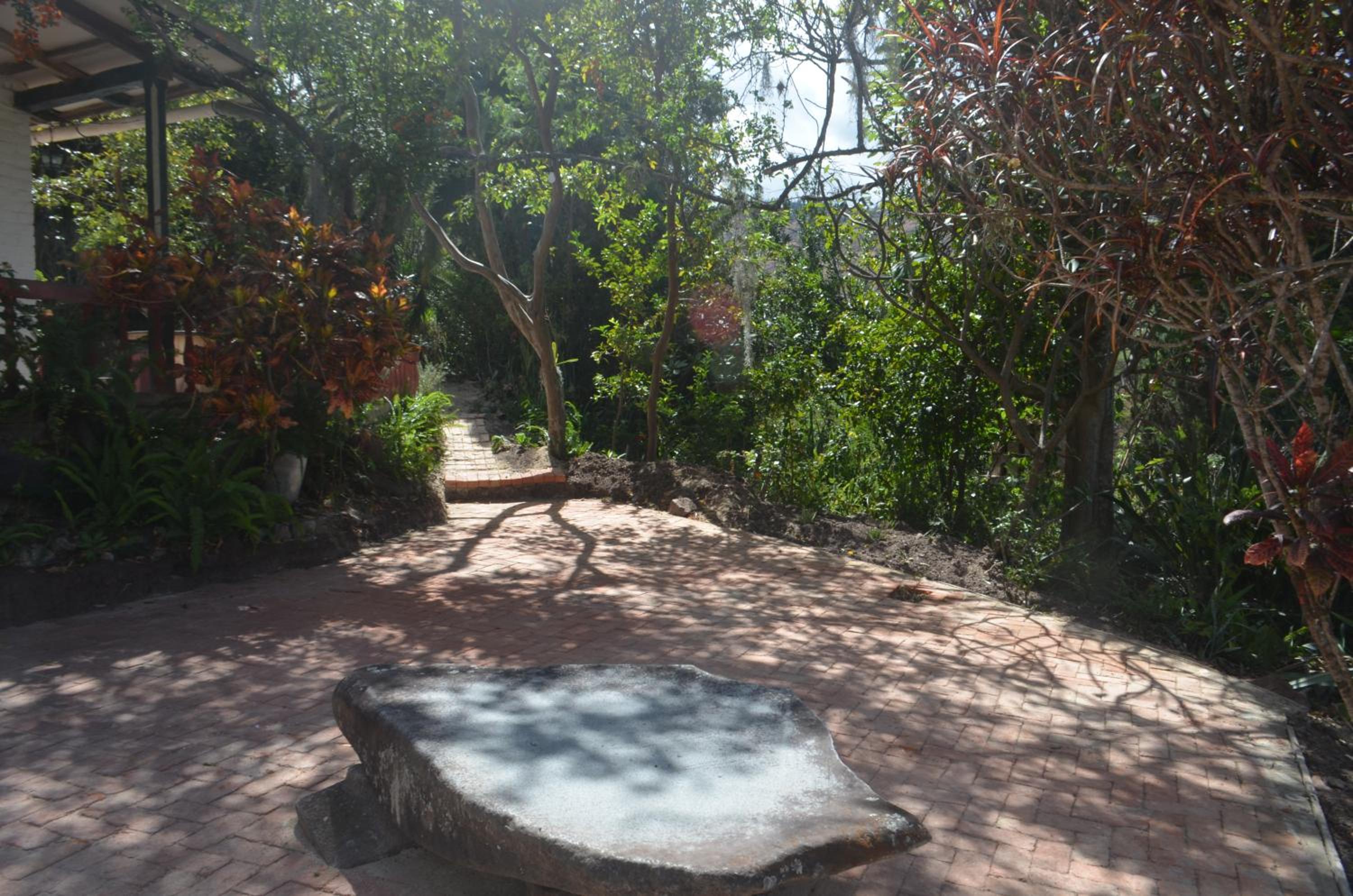 Photo 32