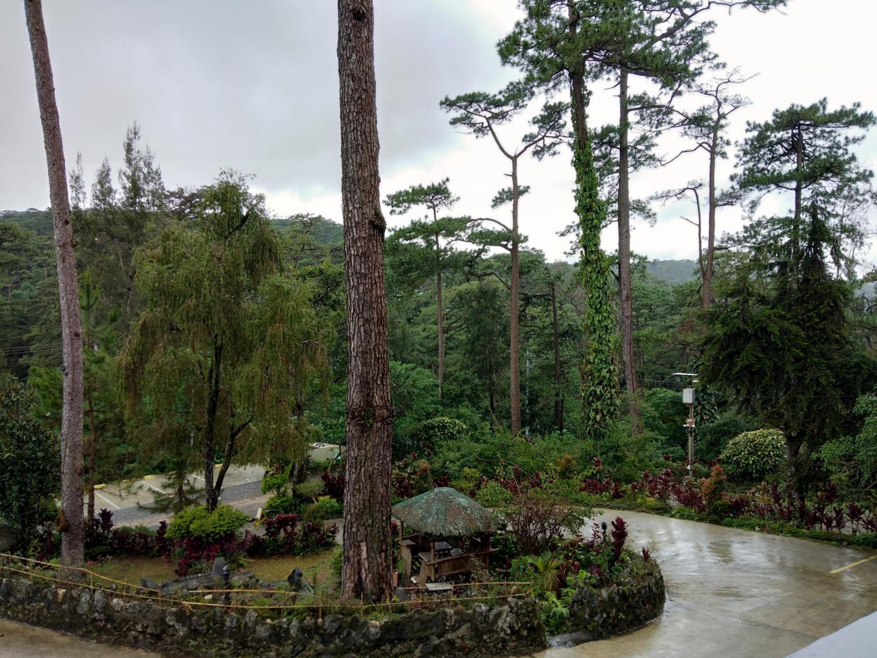 Log Cabin Hotel - Baguio