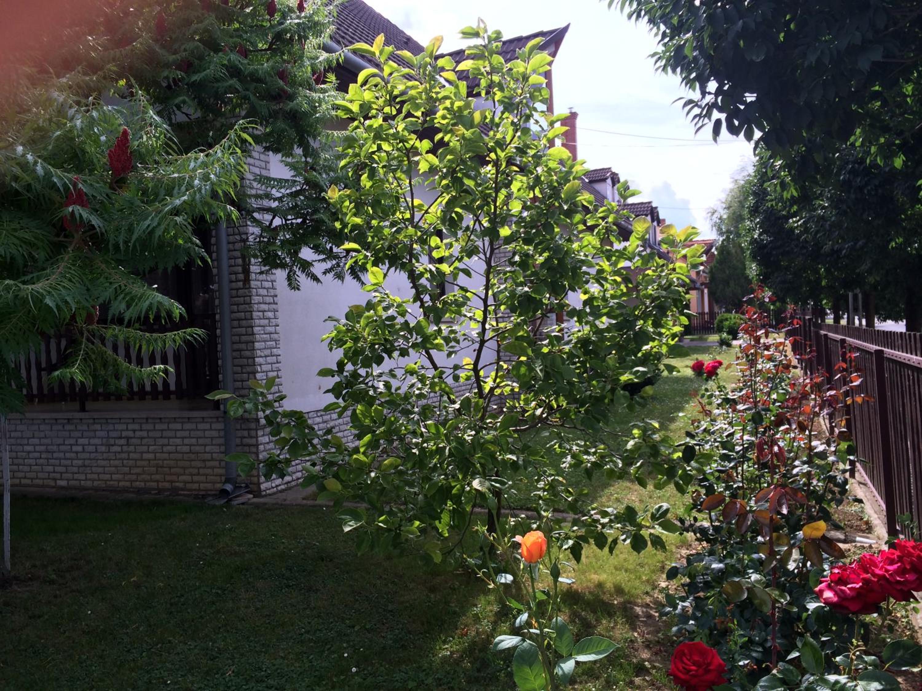 Photo 33
