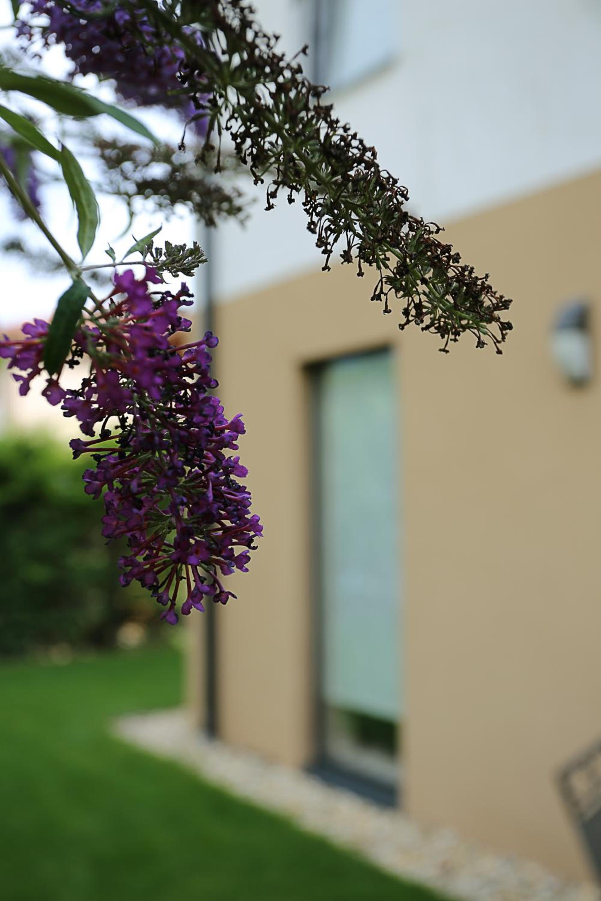 Hotel Townhouse on Budapest border - Image 1