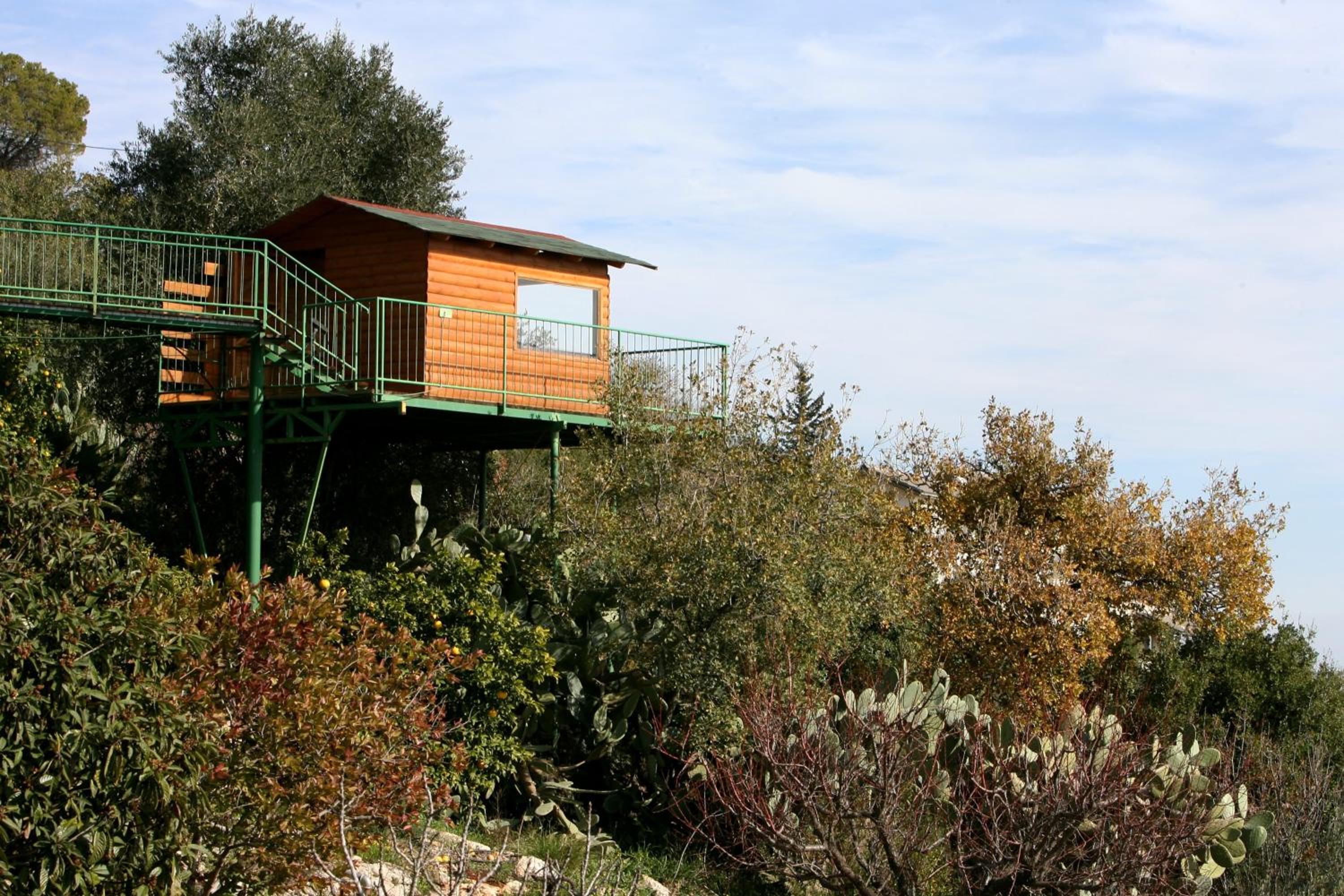 Photo 11