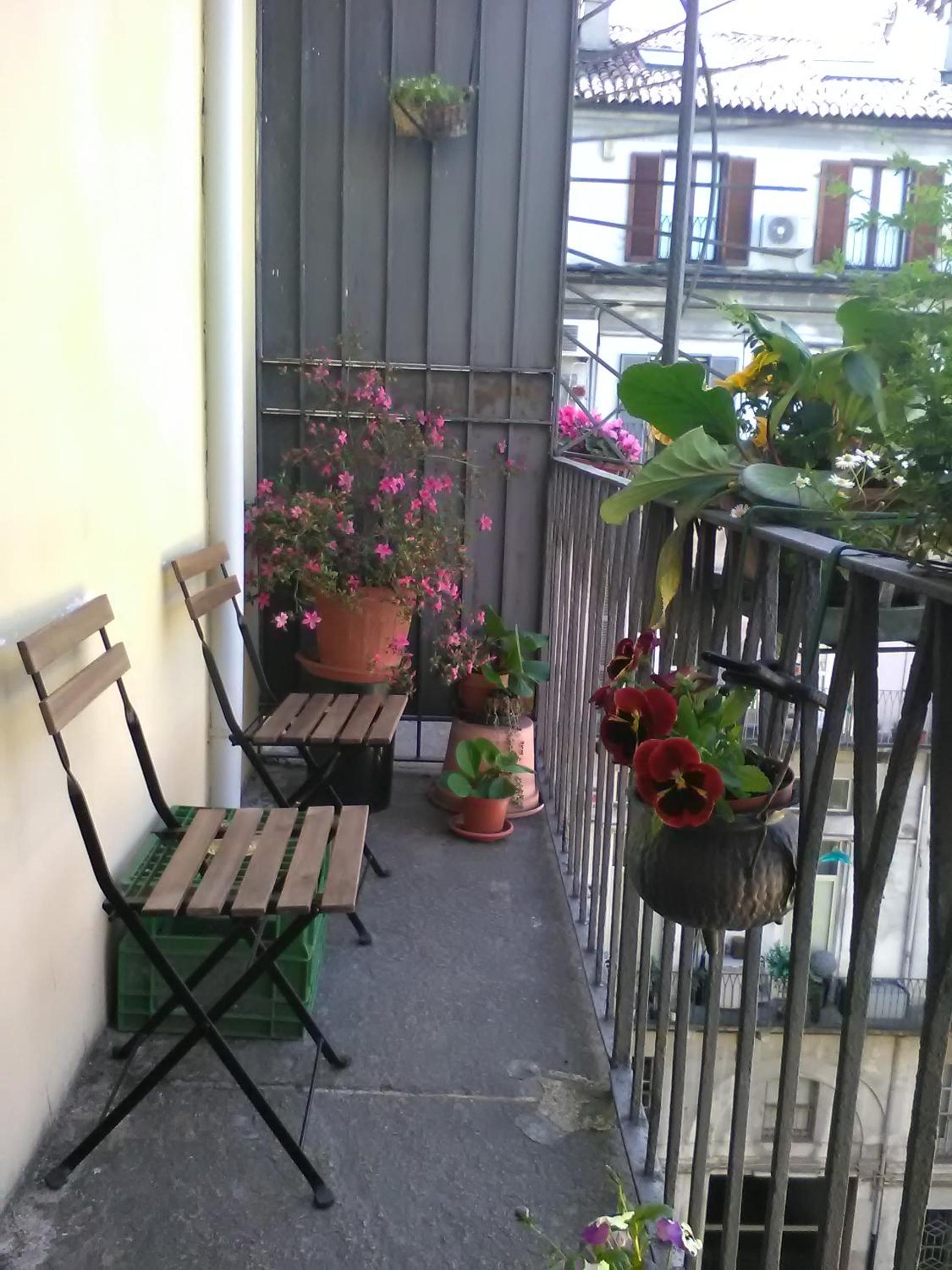 Photo 33