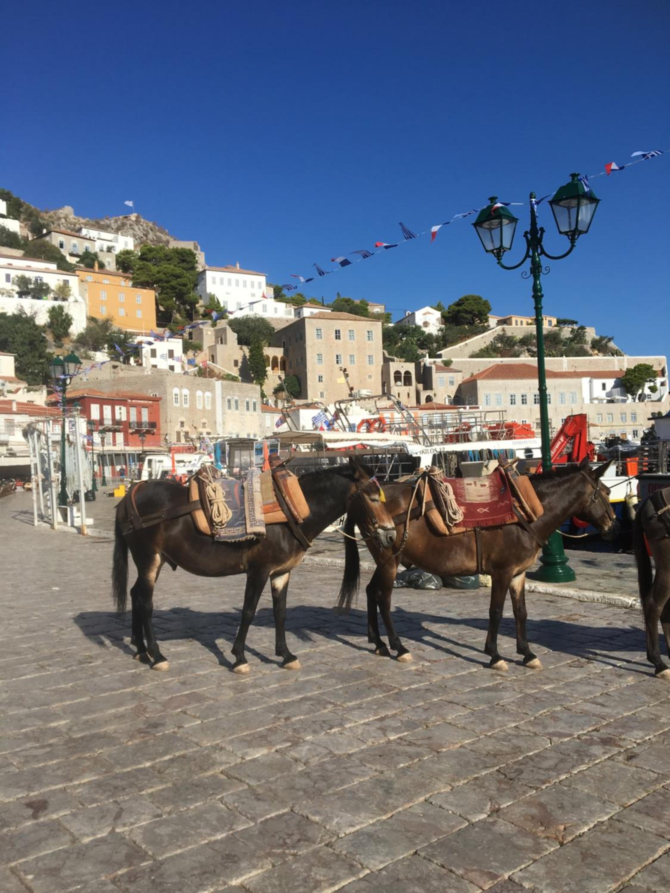 Port Mansion Hydra 1 photo 5