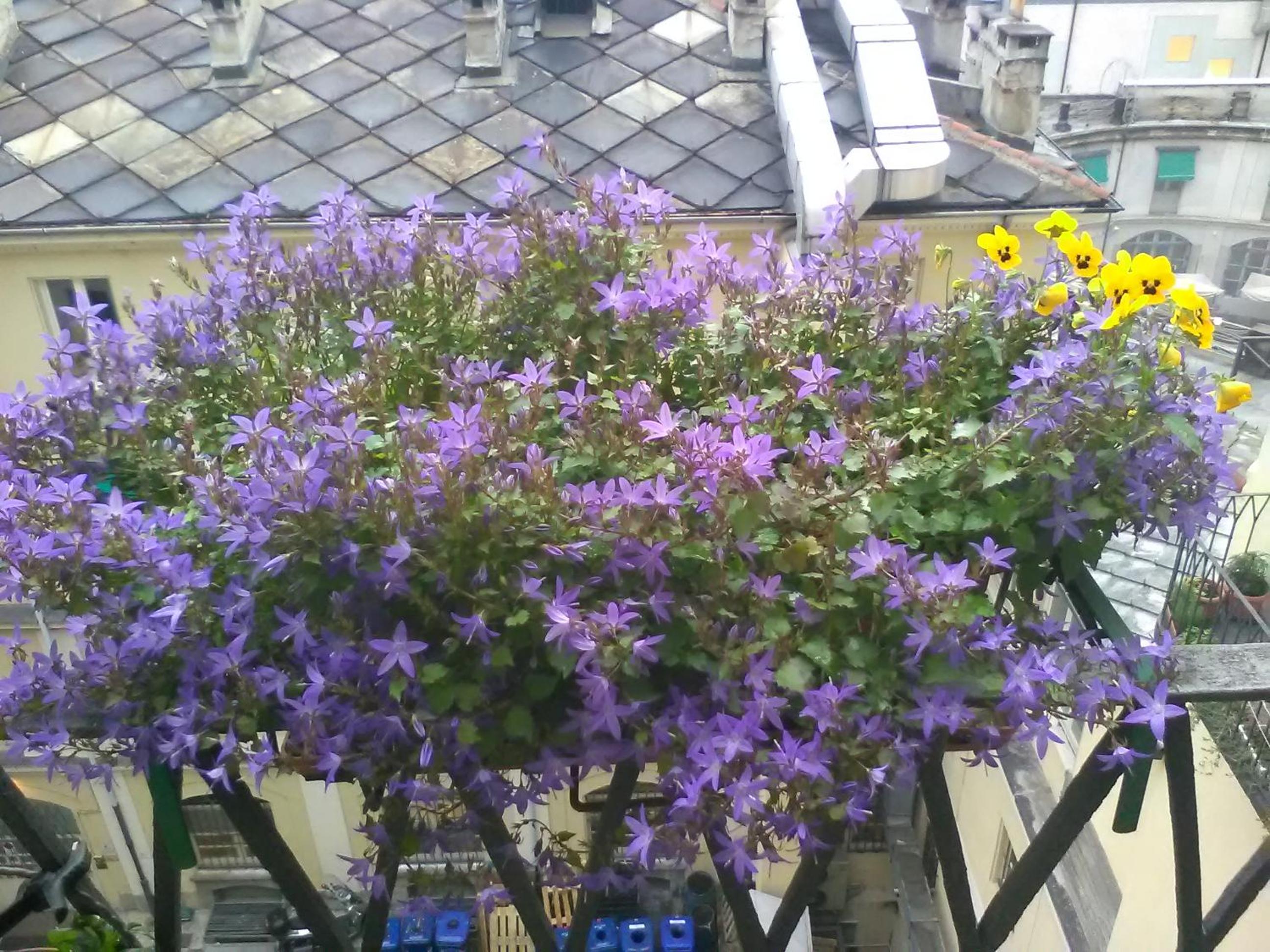 Photo 34