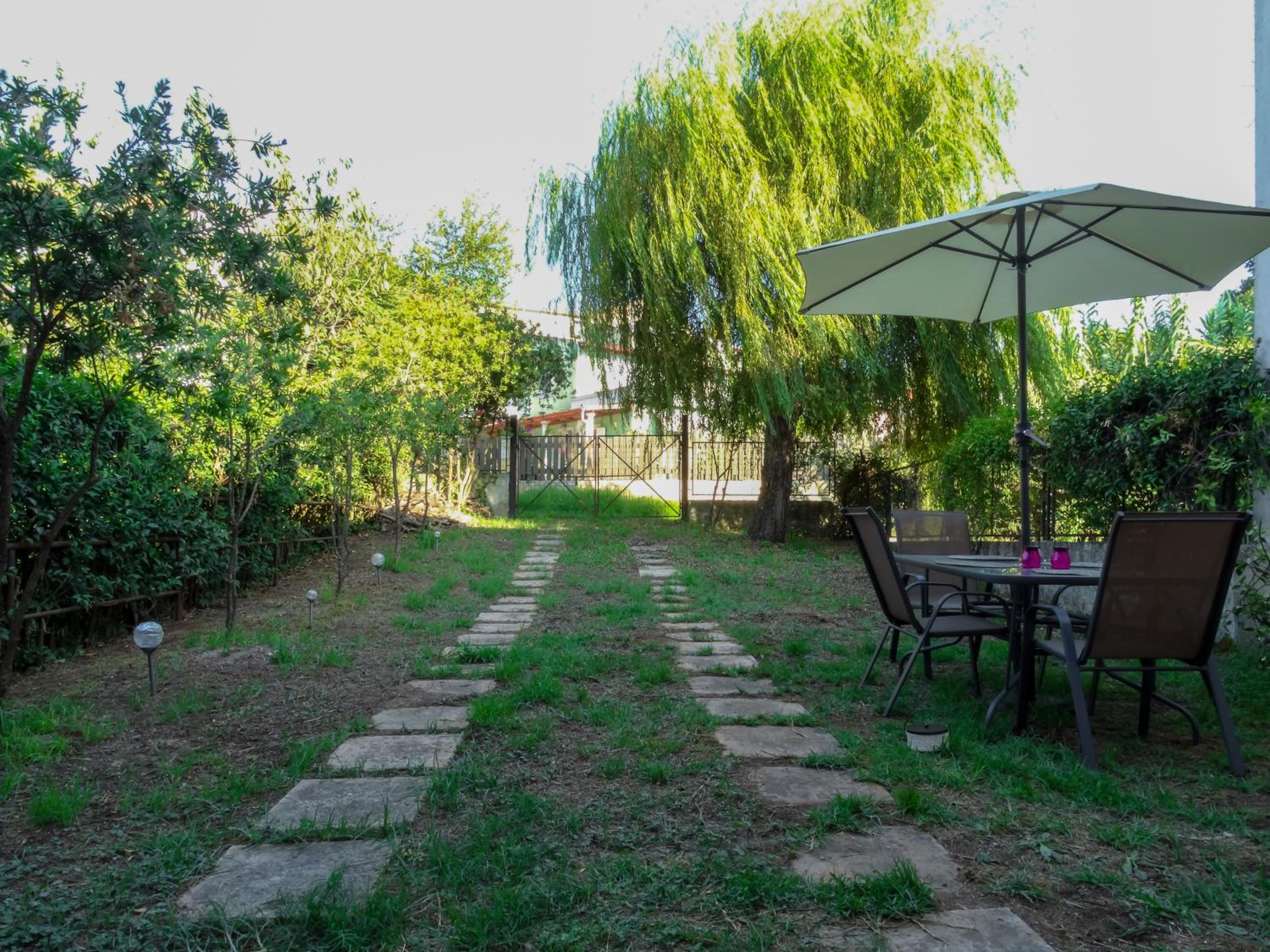 Photo 33
