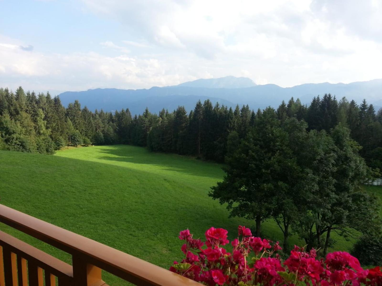 Pension Barzaunerhof