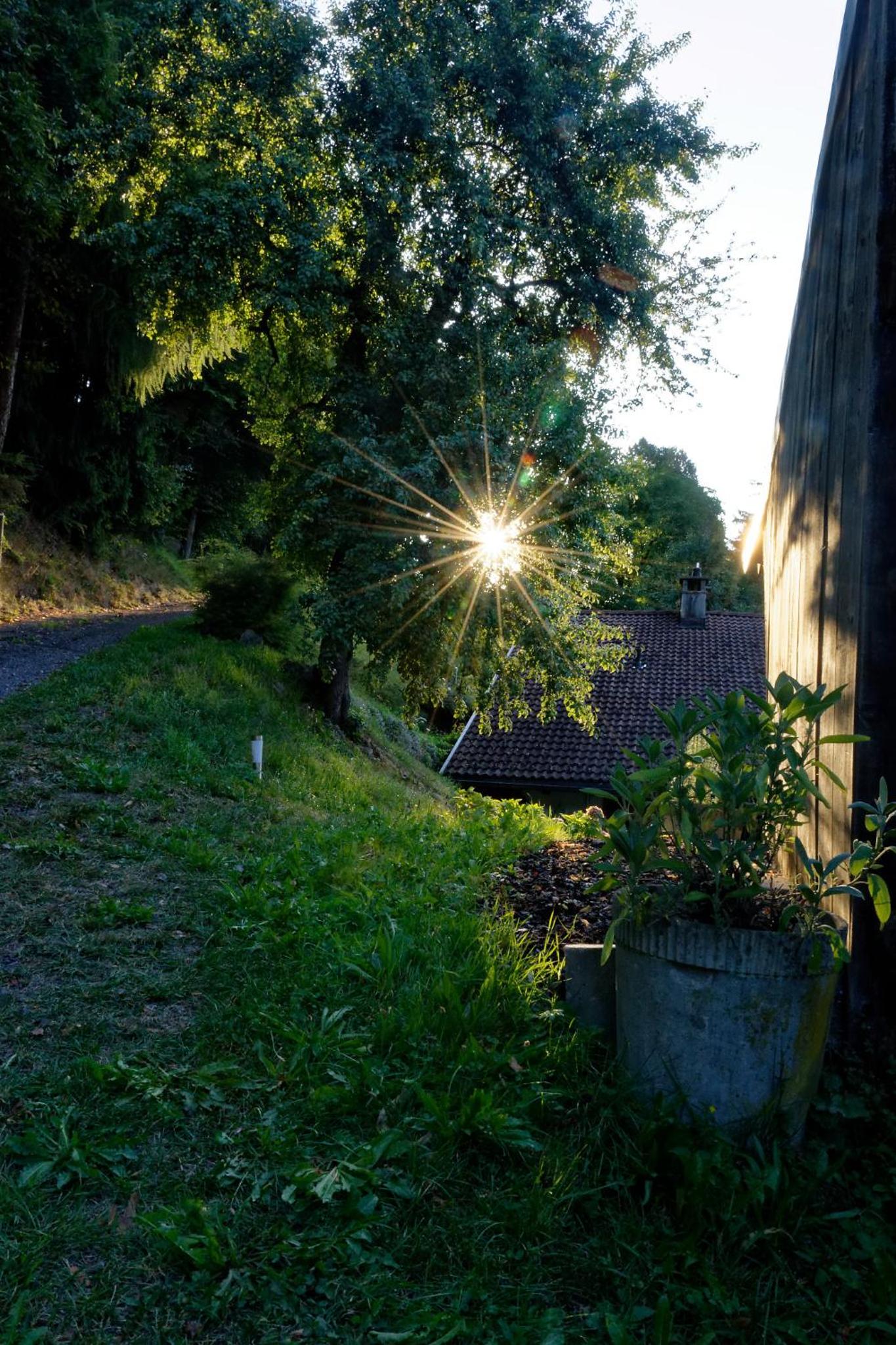 Landhaus Tenne