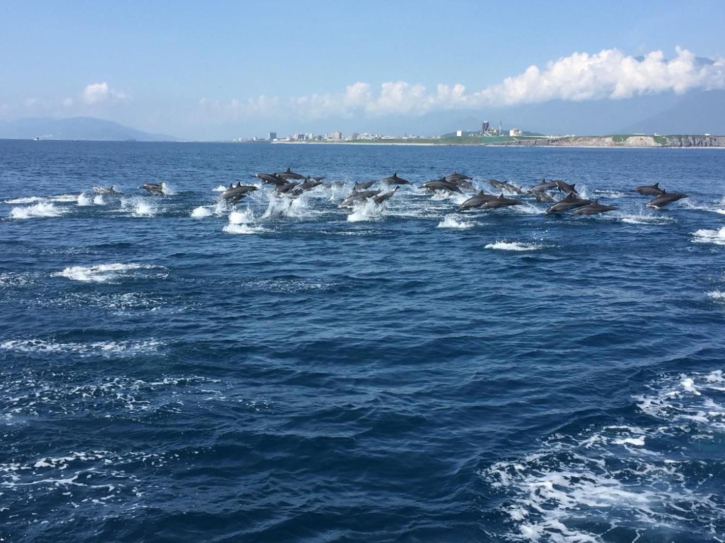 Hualien Seaside B&B