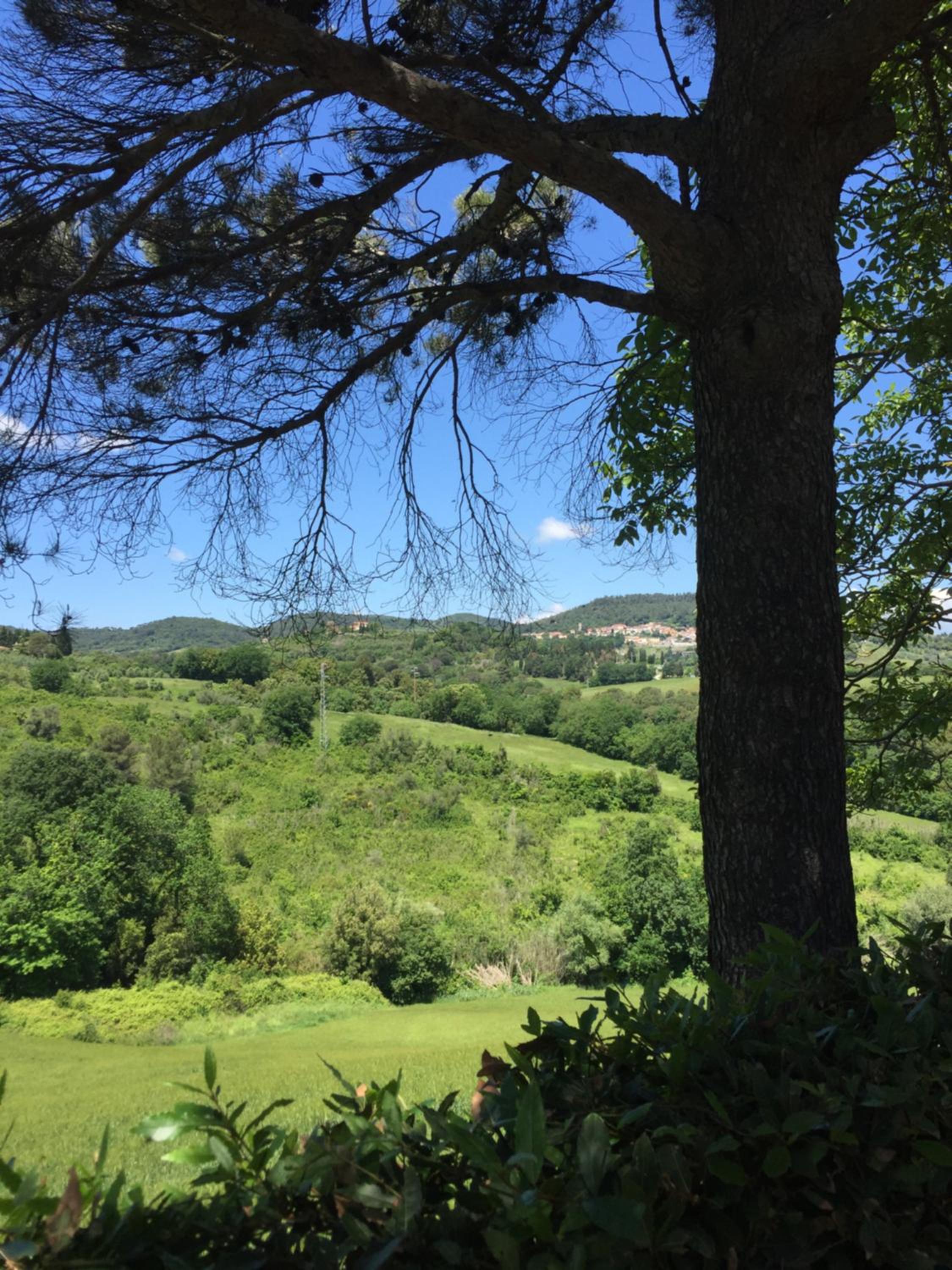 Agriturismo Cappellese