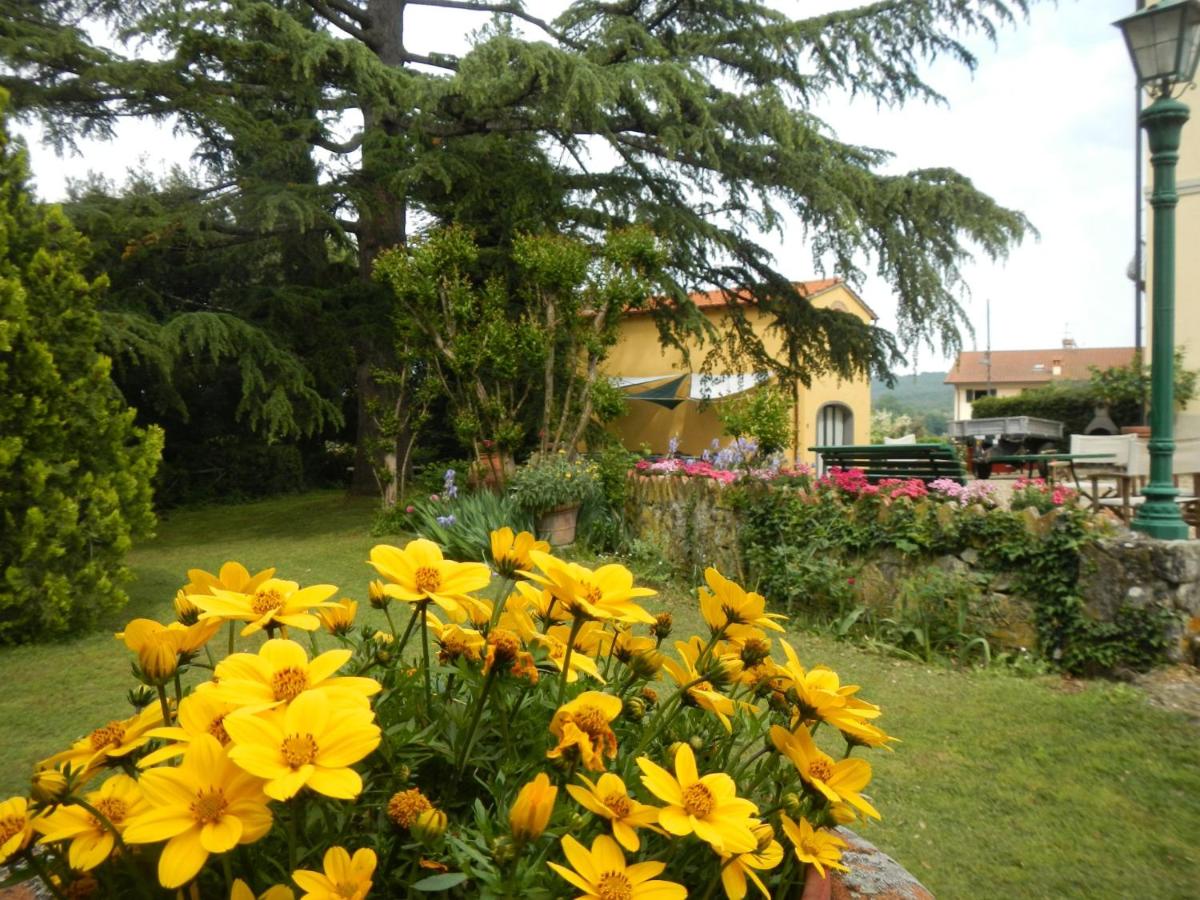 villa Catola view 5