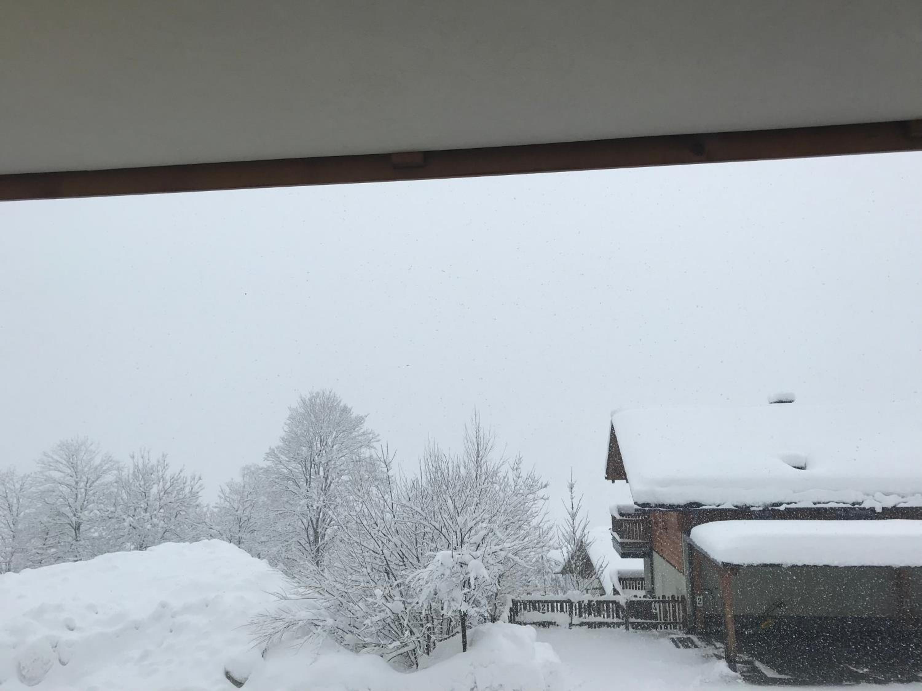 Apartment Sonnblick