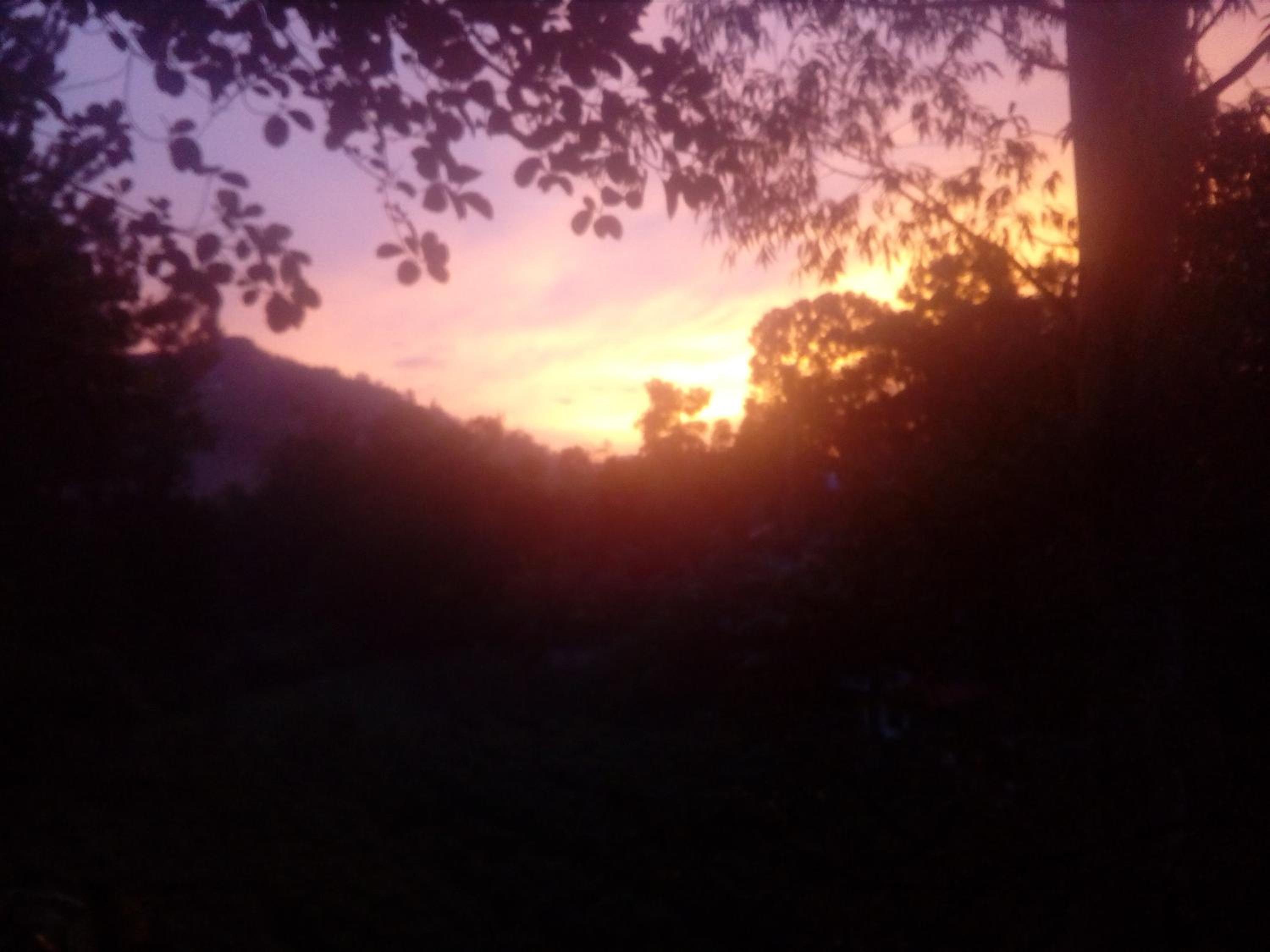 Forest Paddy Homestay view 4