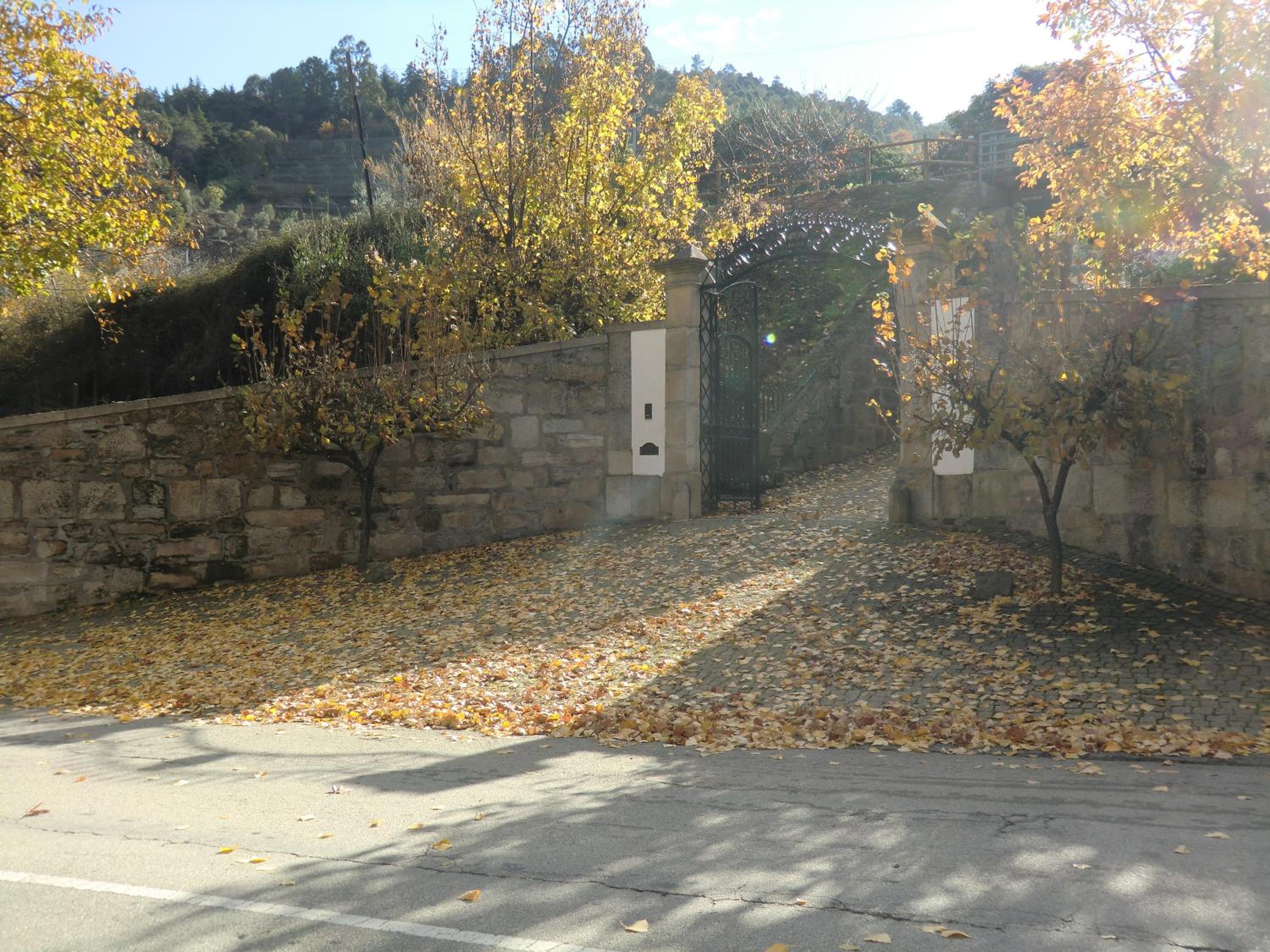 Quinta das Aveleiras view 5