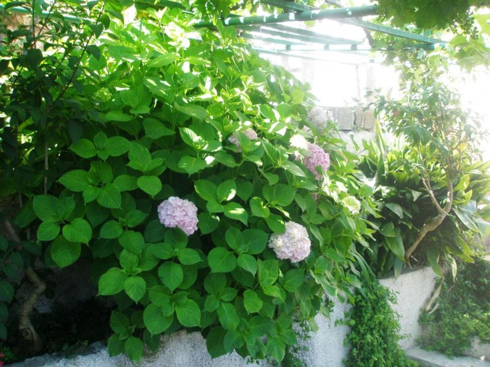 Apartment Pavo