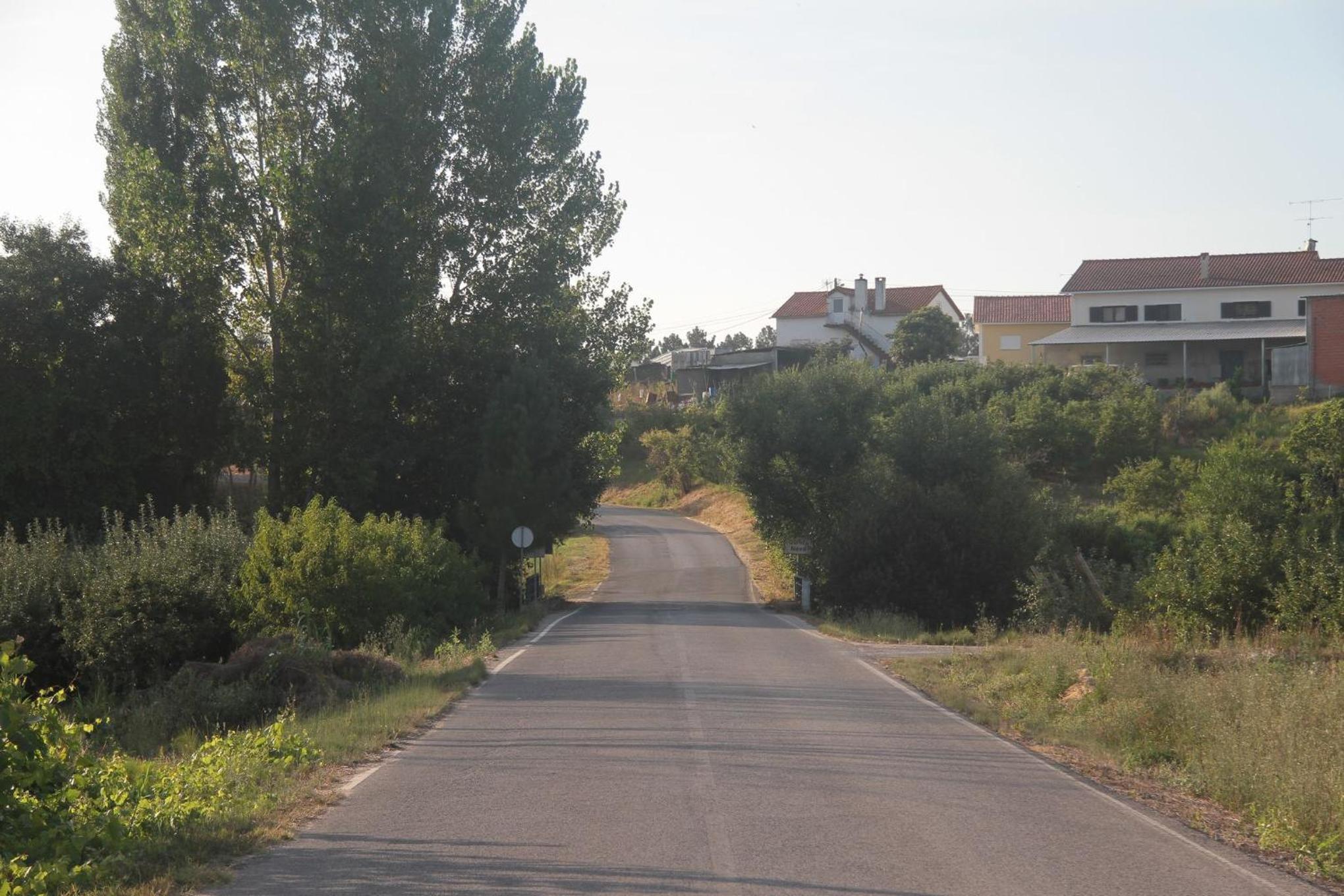 Photo 26