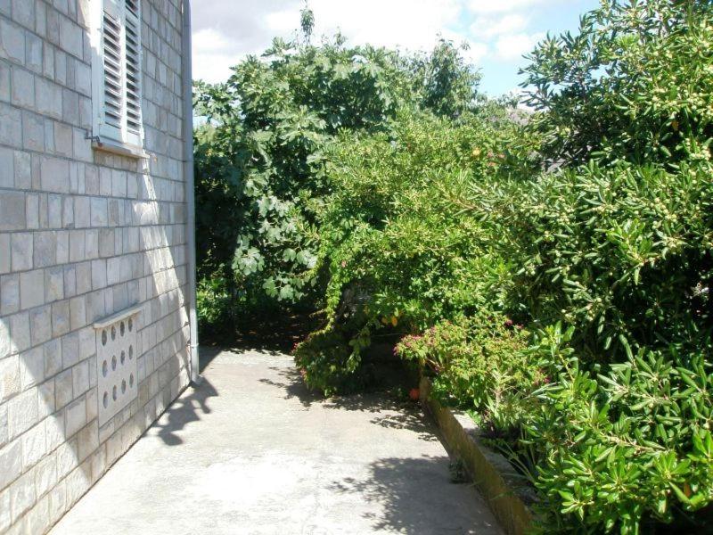 Apartment Pavo