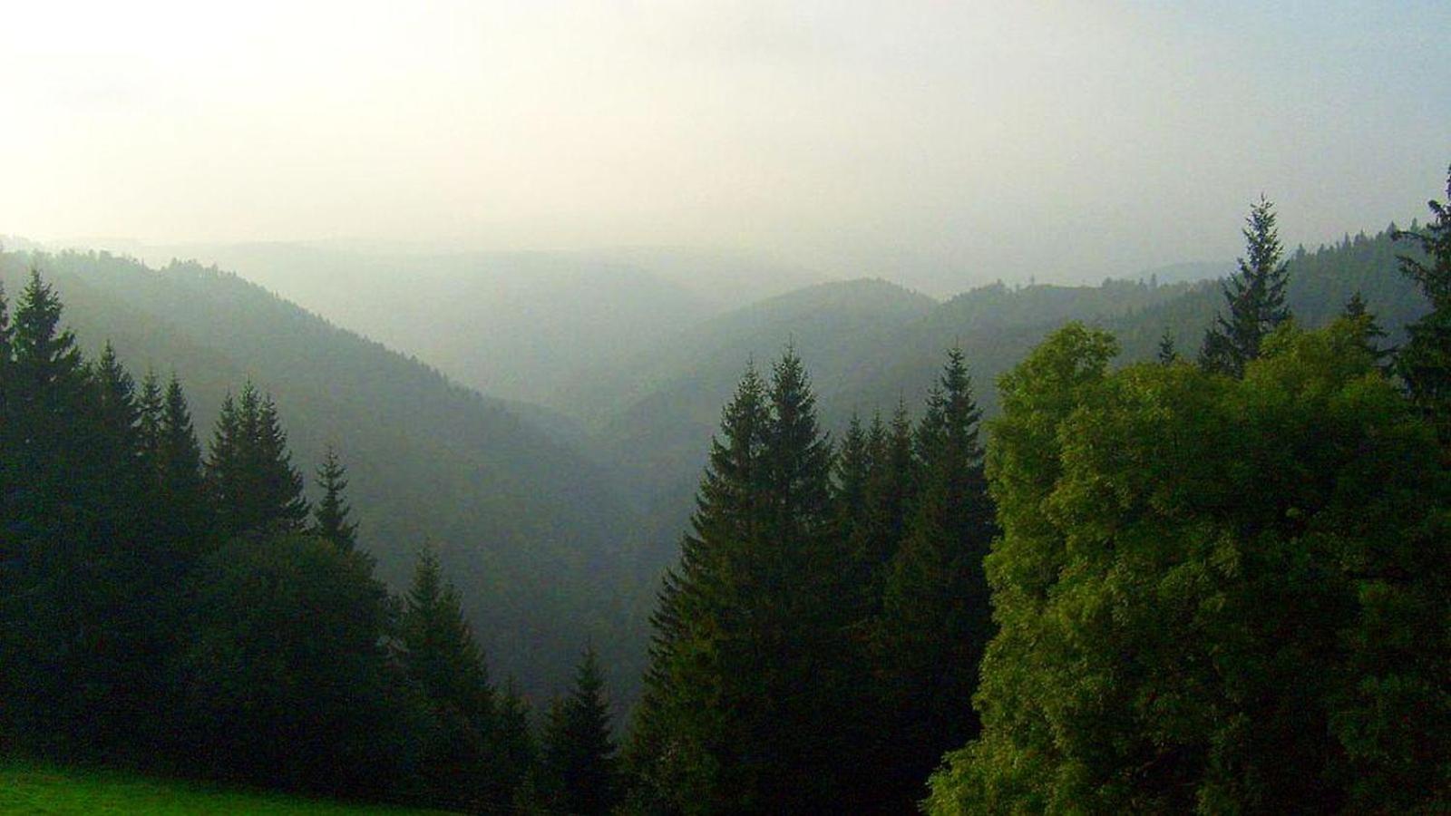 Schwarzwaldgasthaus Linde