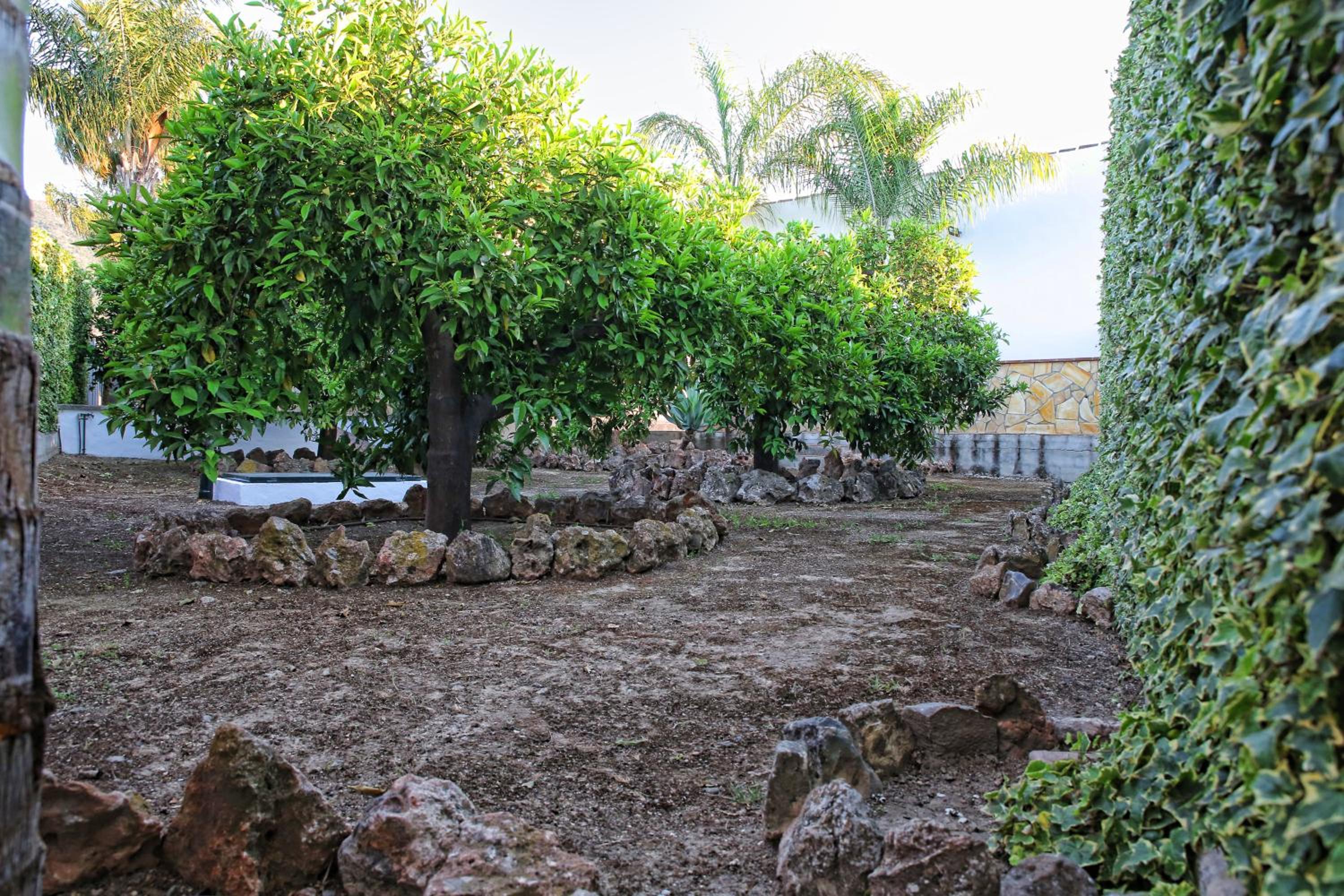 Photo 27