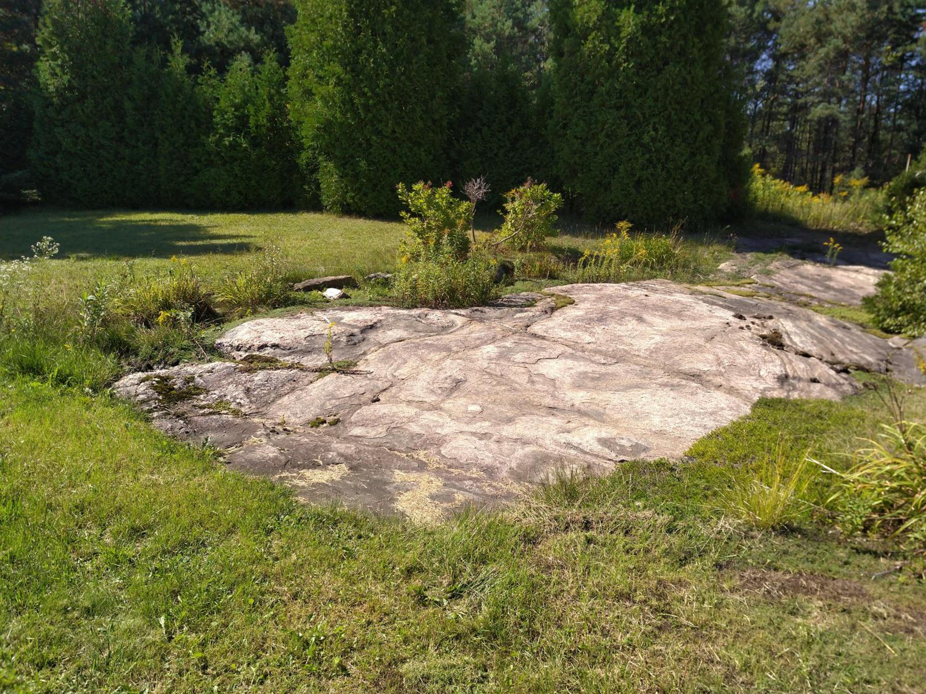 Photo 24