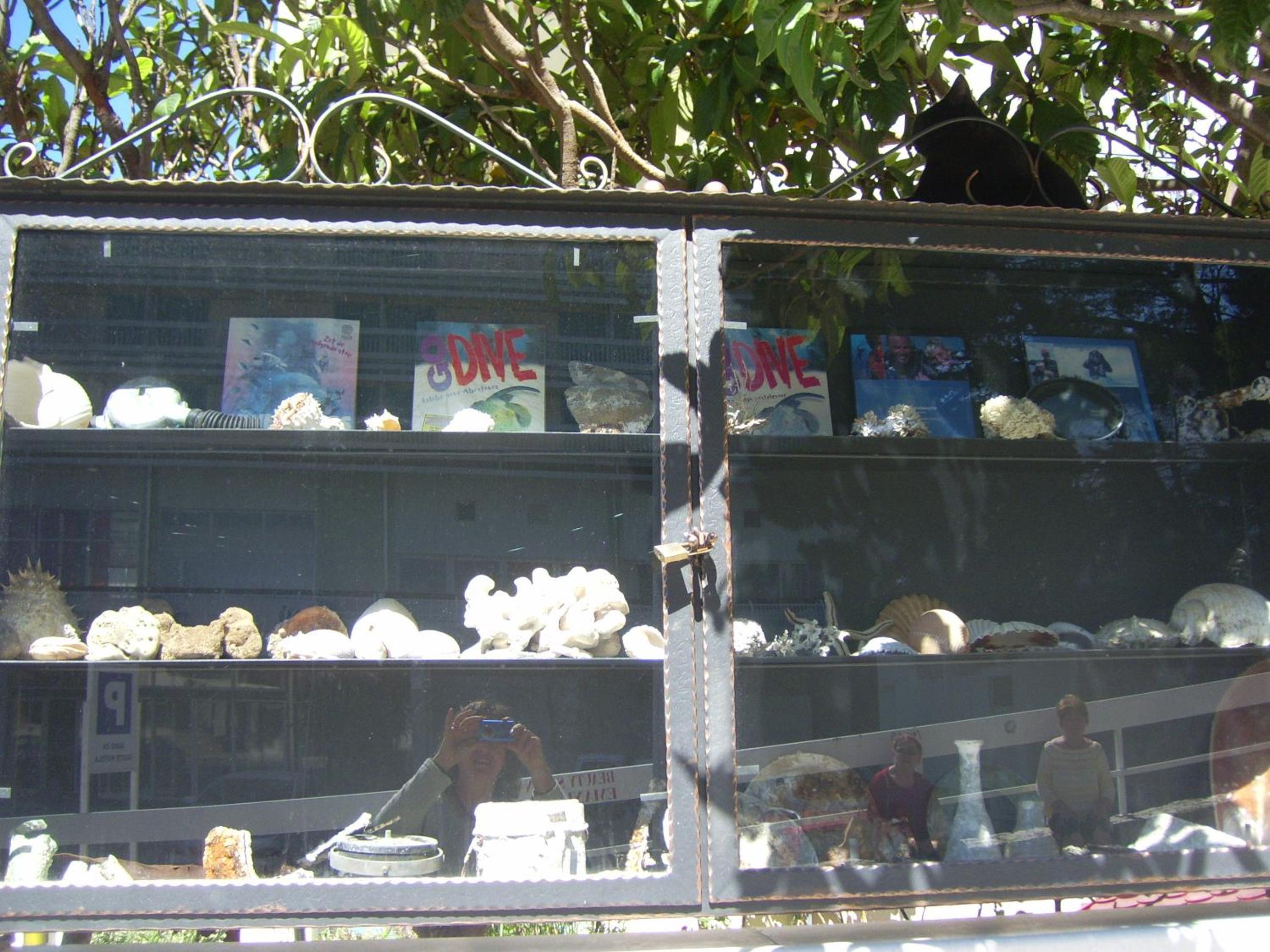 Photo 11