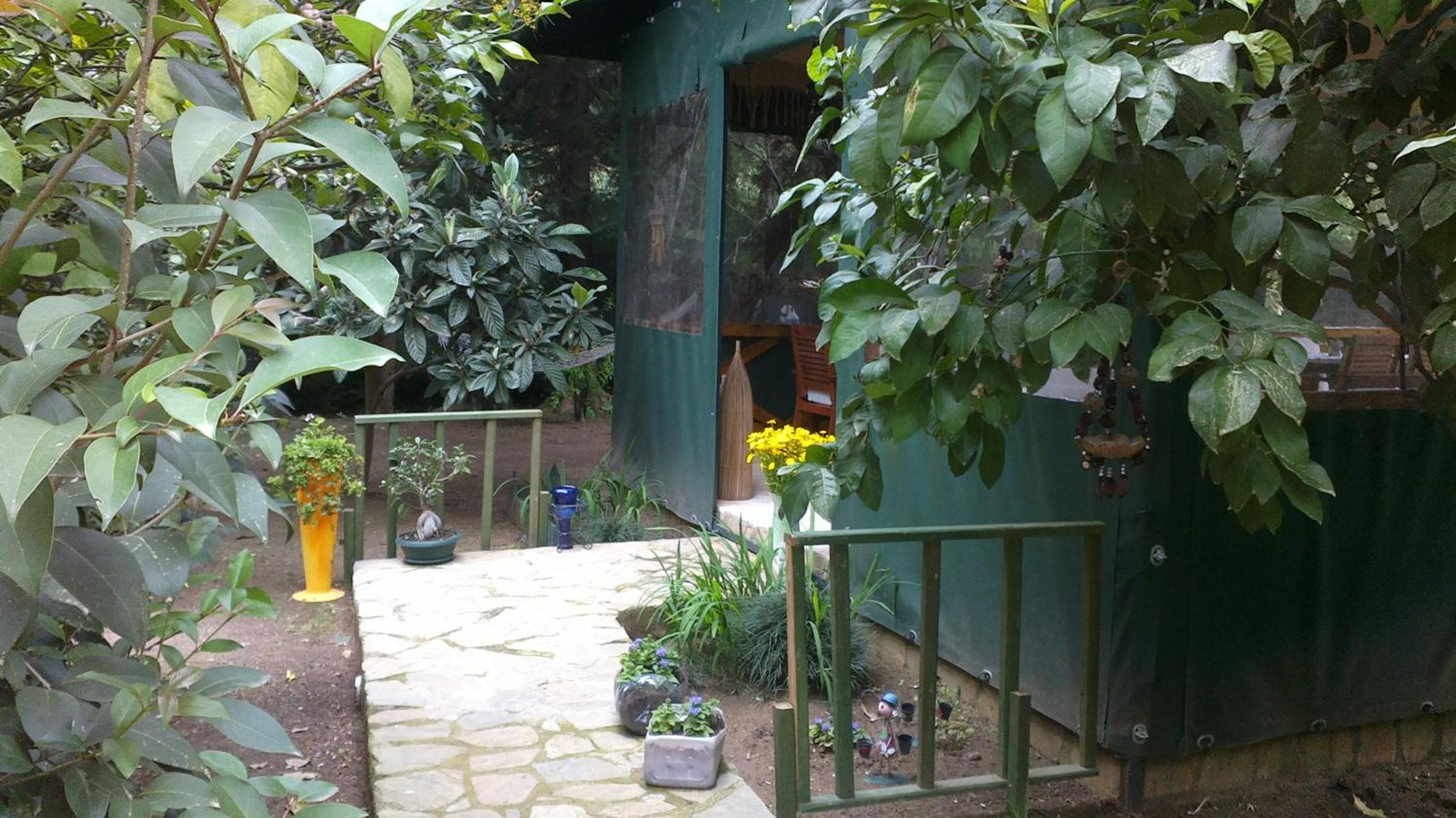 Photo 28