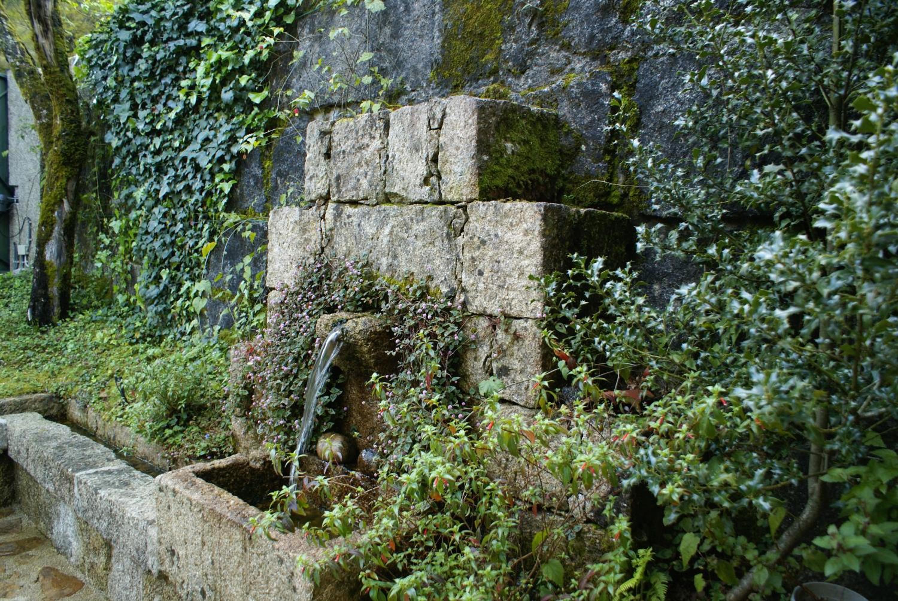 Photo 27