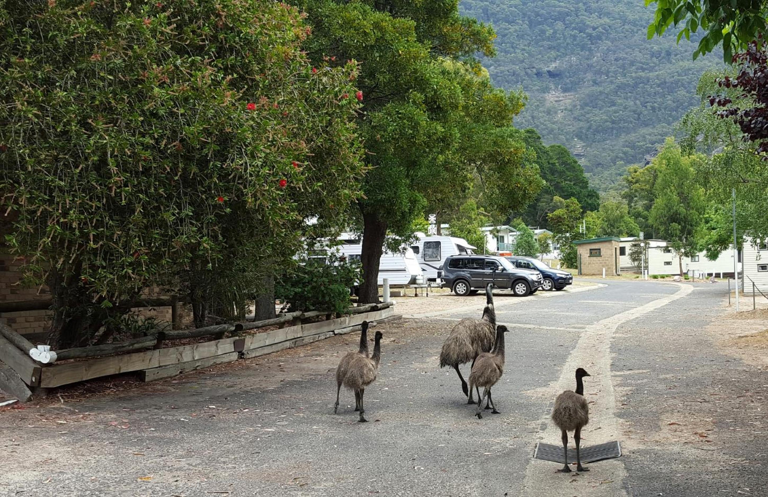 Breeze Holiday Parks - Halls Gap