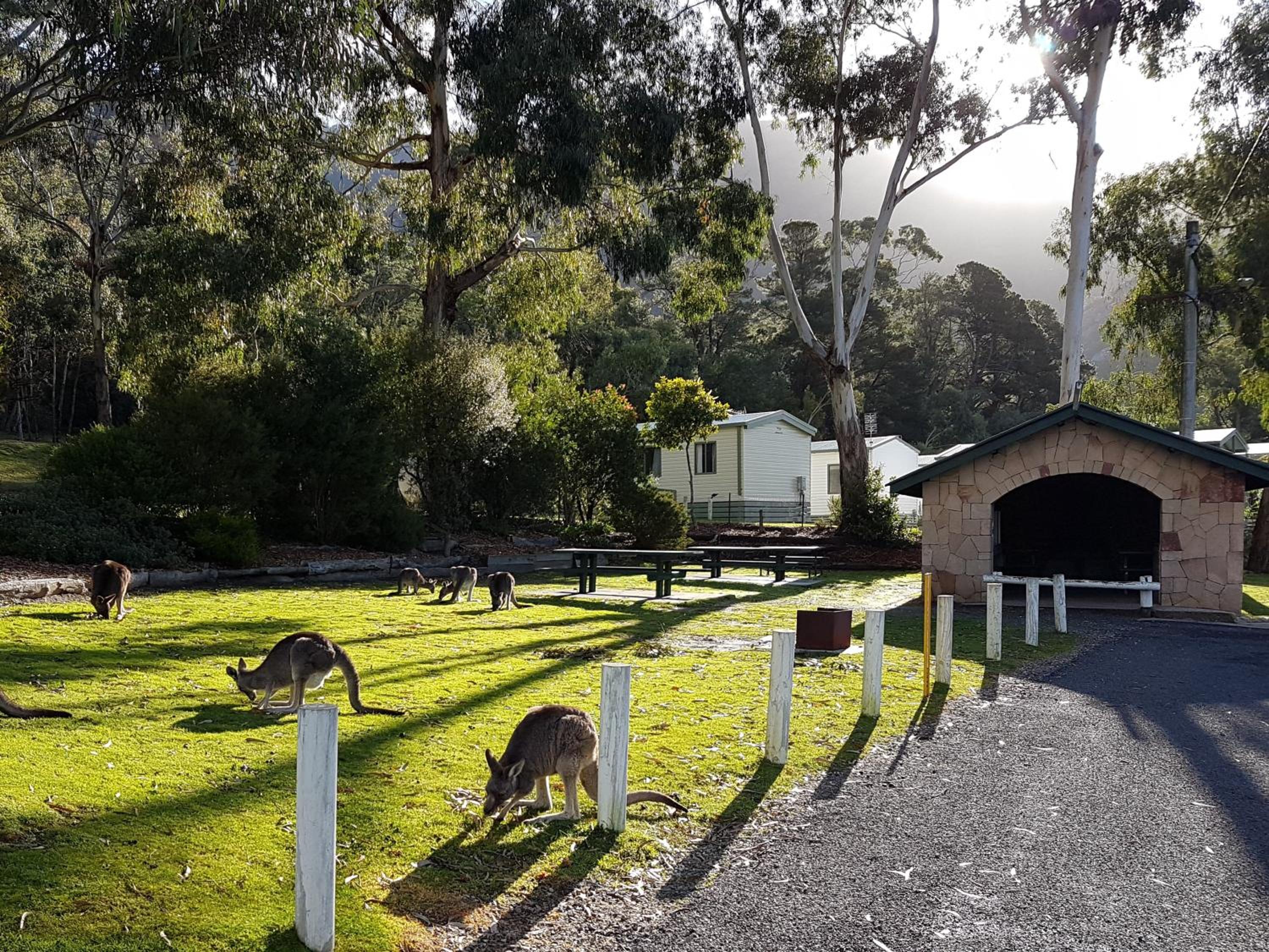 Breeze Holiday Parks - Halls Gap