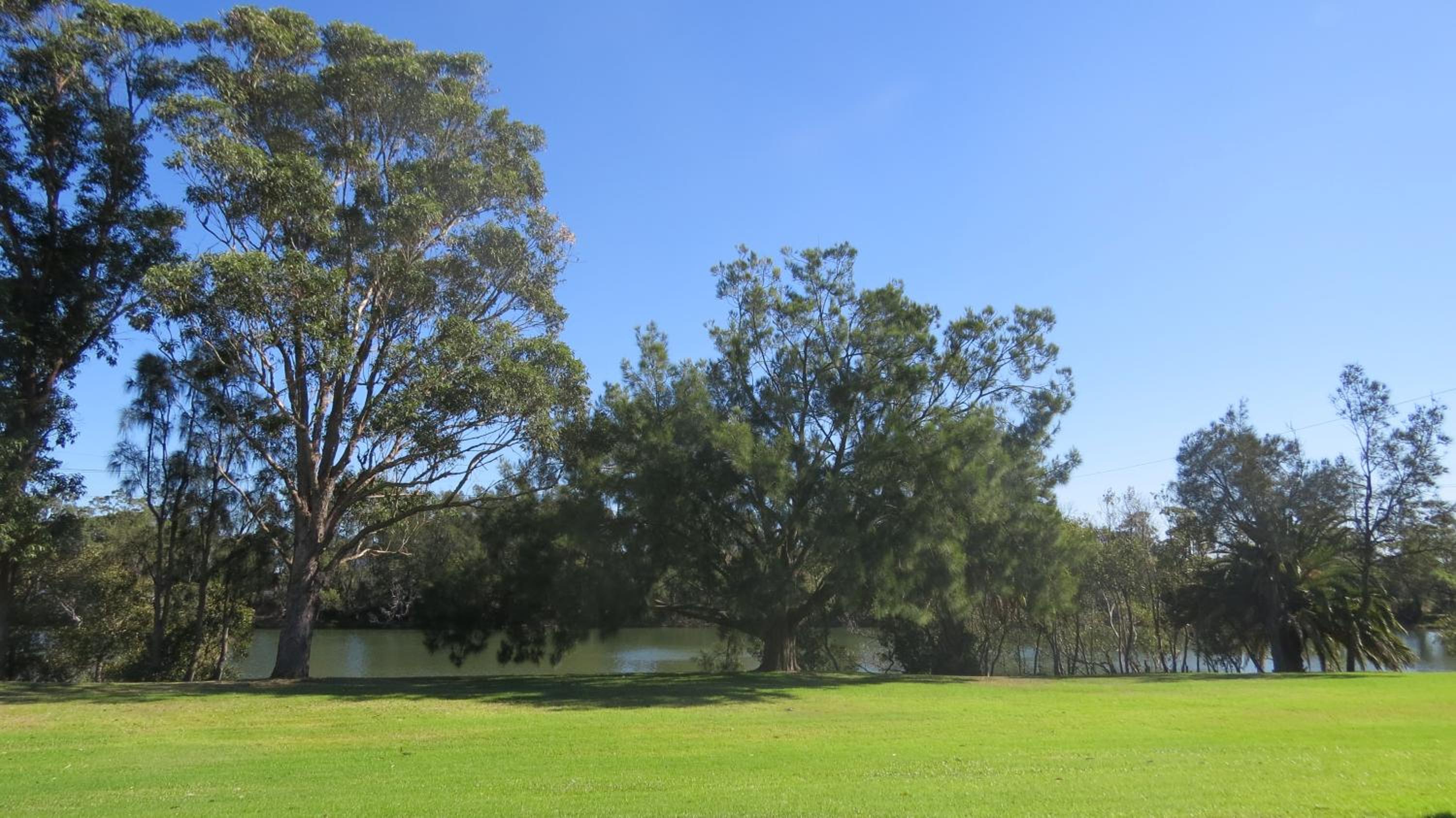 Macquarie 4 Star