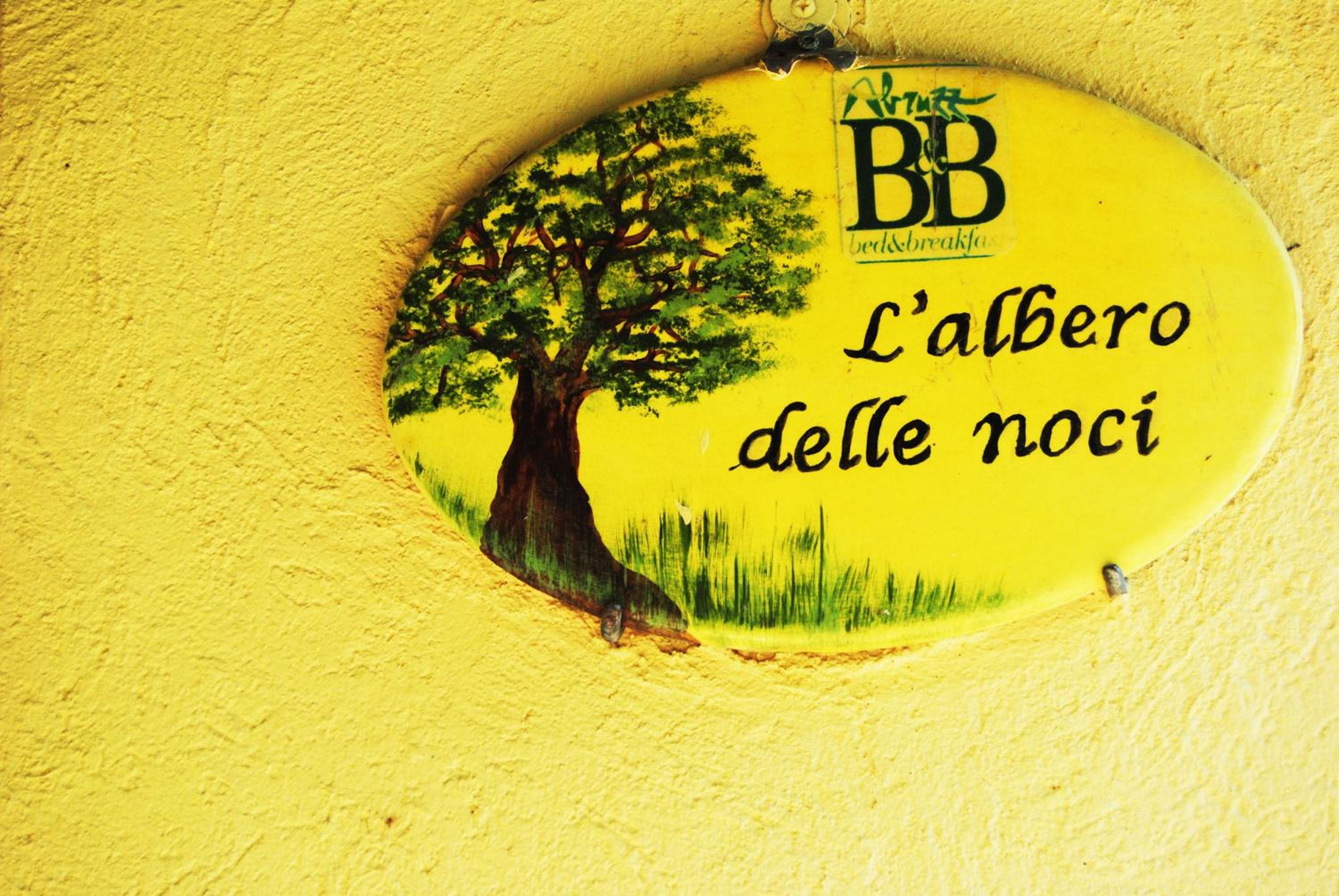 L'albero delle noci view 3