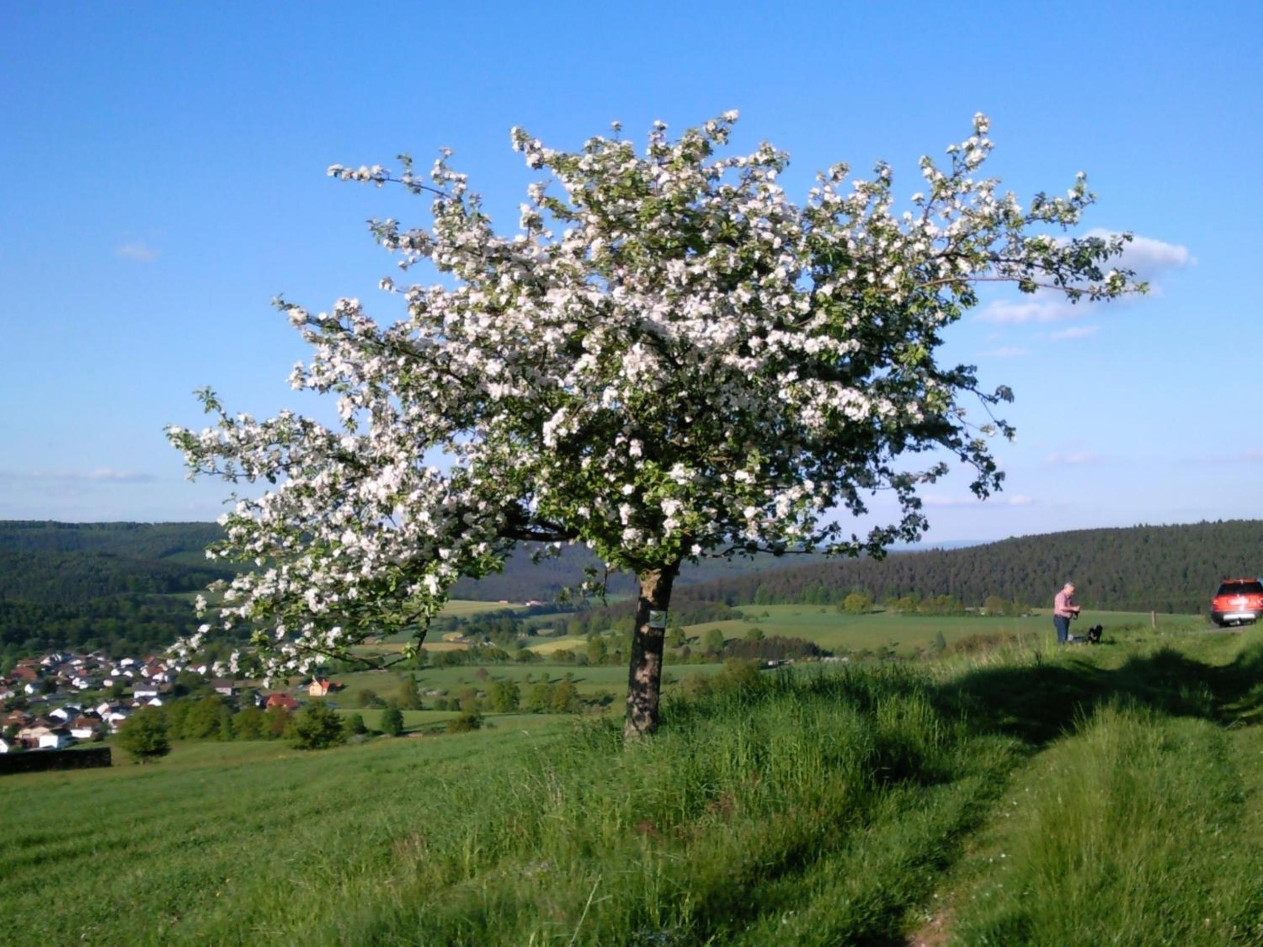 Photo 24