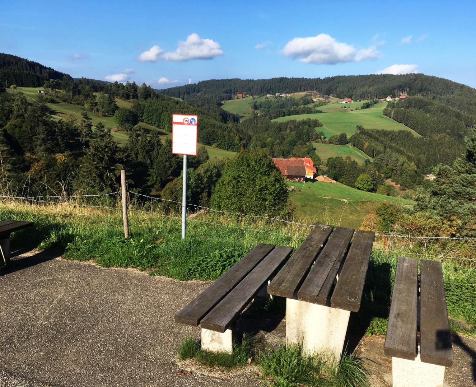 Schwarzwaldgasthaus Linde
