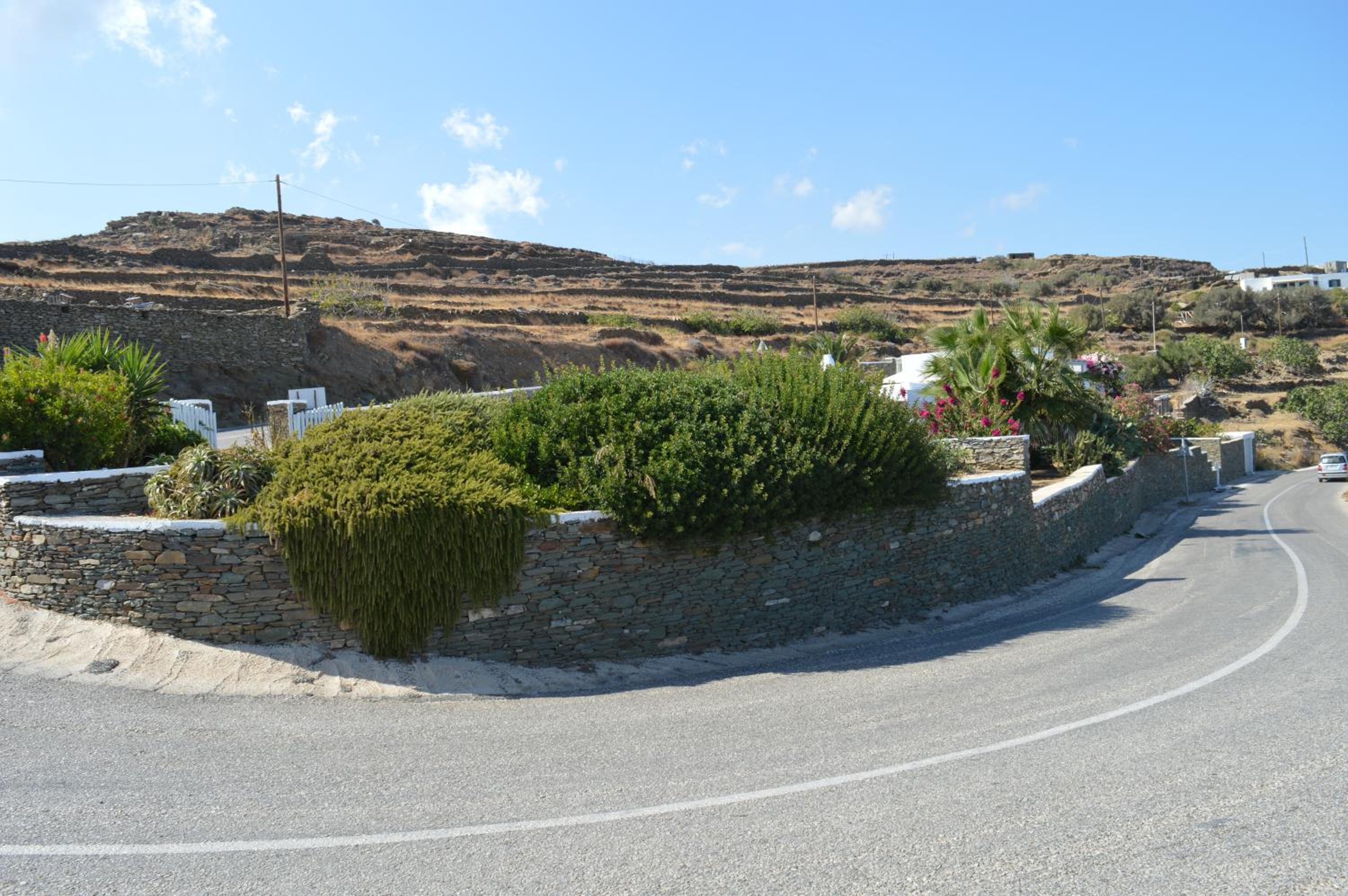 Photo 40