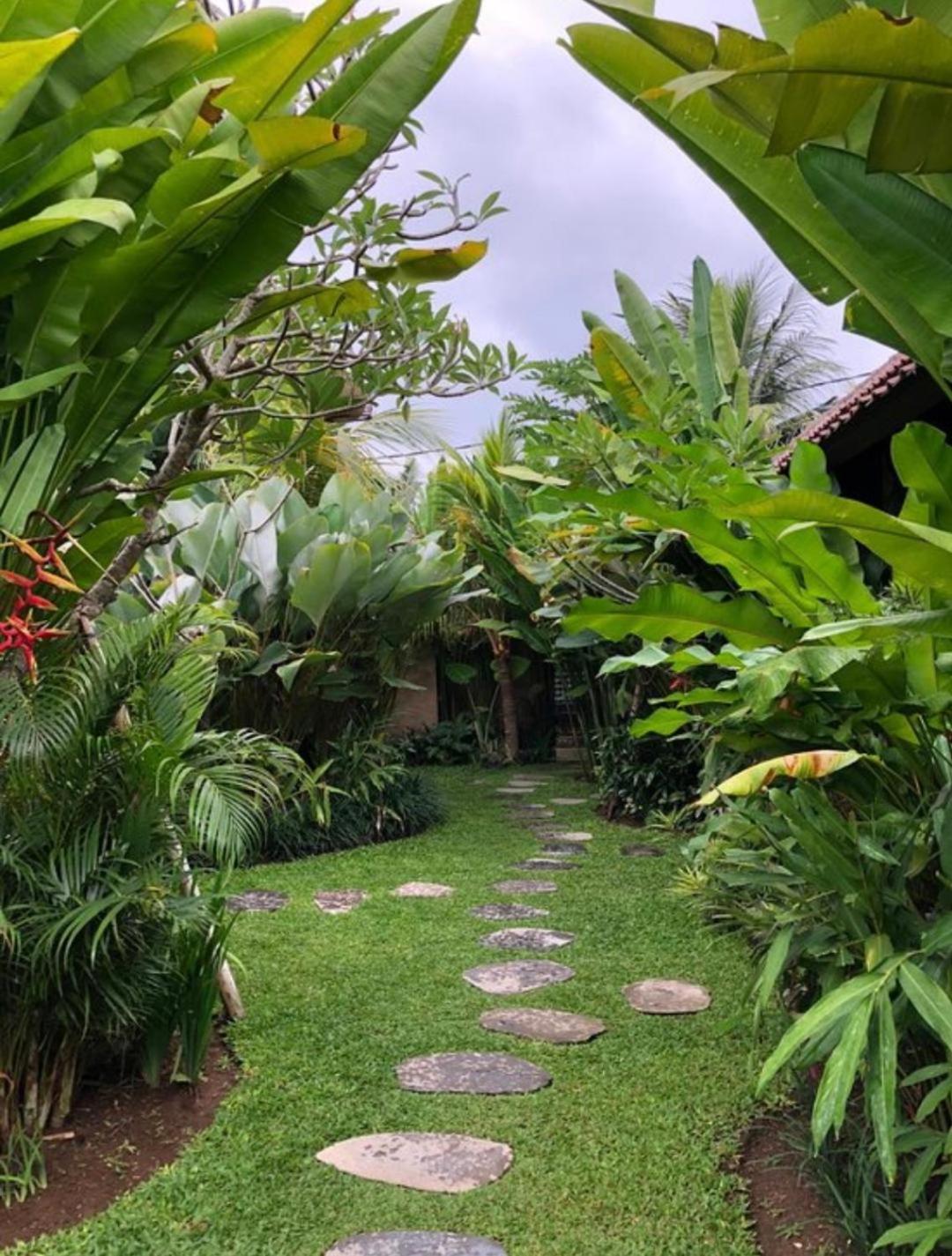 Kailash Bali