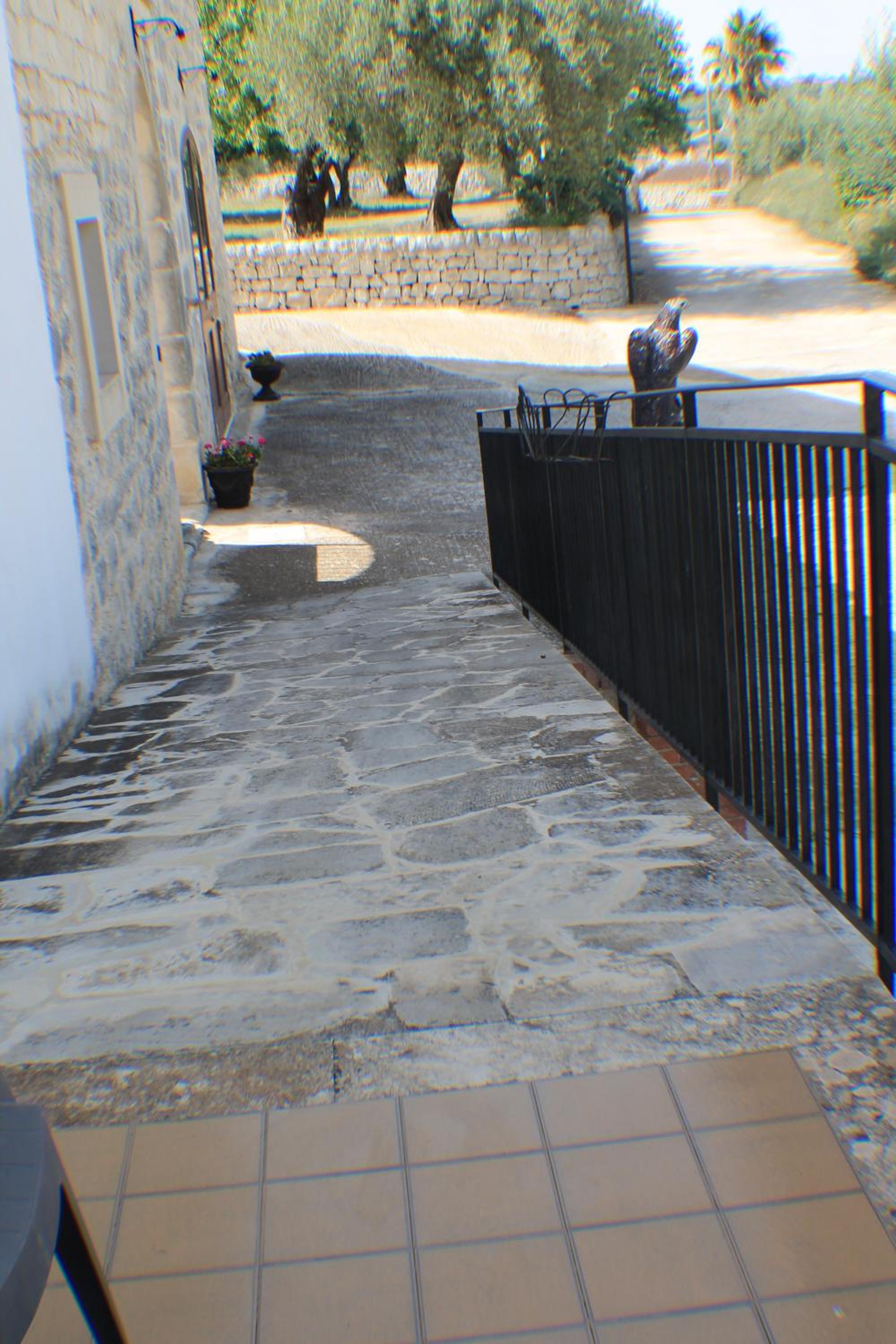 Photo 56