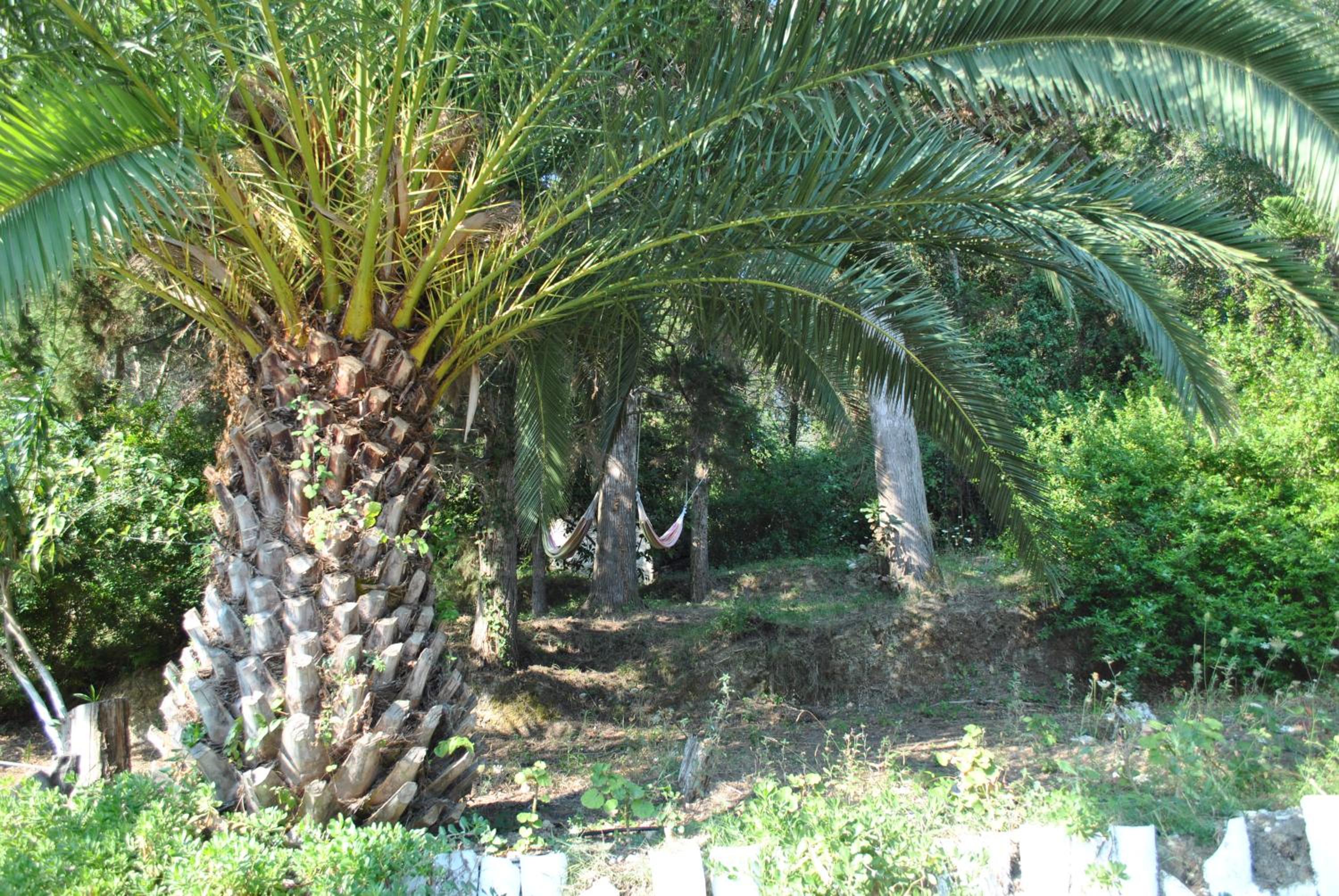 Photo 45