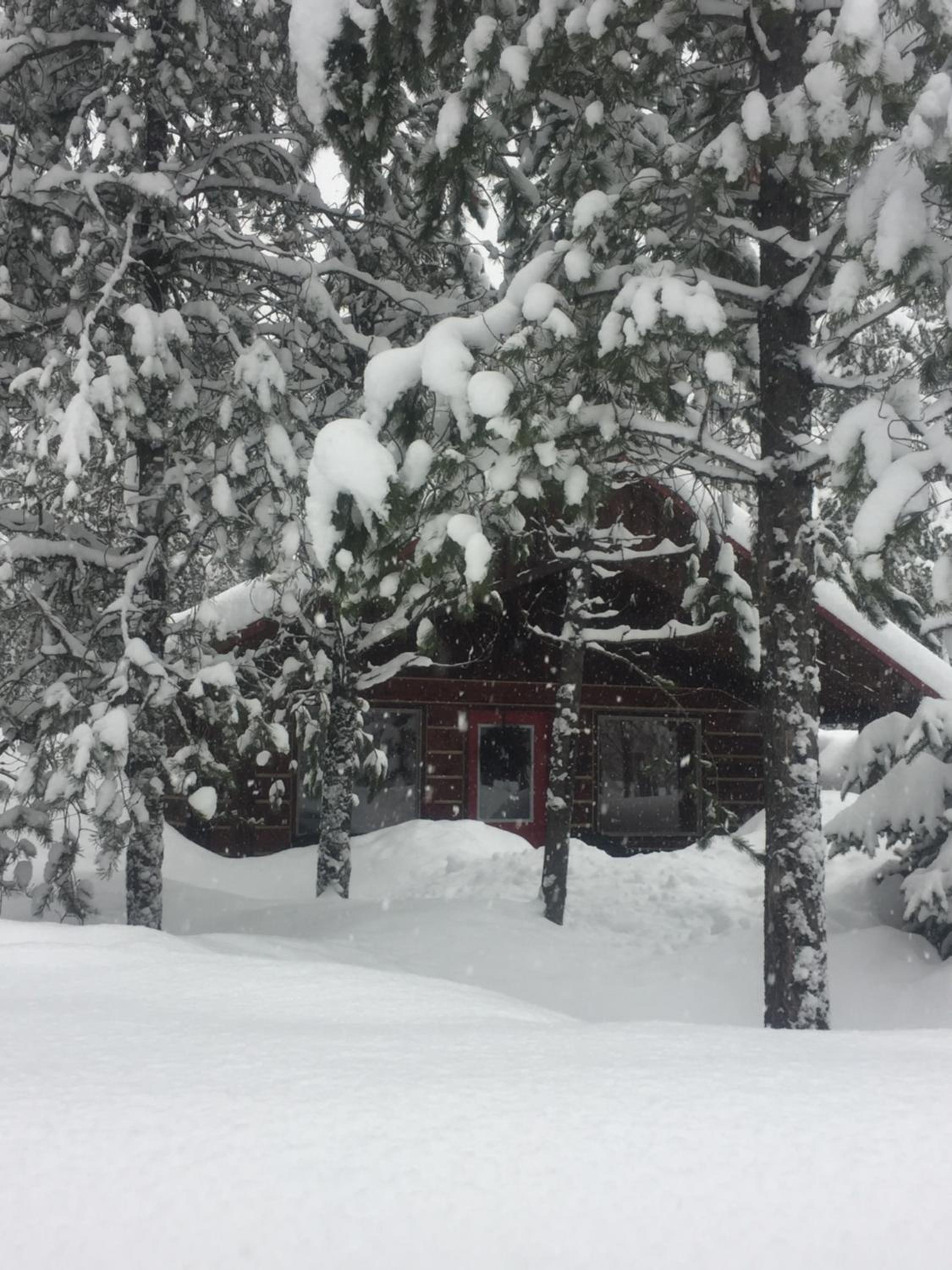 Reclusive Moose Cabins