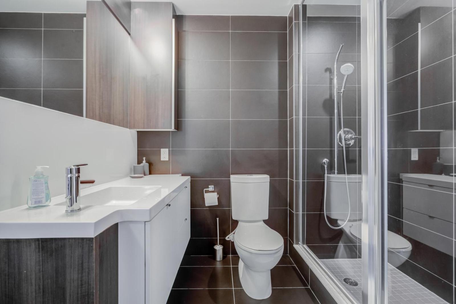 Chol Furnished Suites 2 Bedrooms Downtown Toronto Million Dollar CN Tower View MTCC Rogers Centre Blue Jays TIFF Free Parking