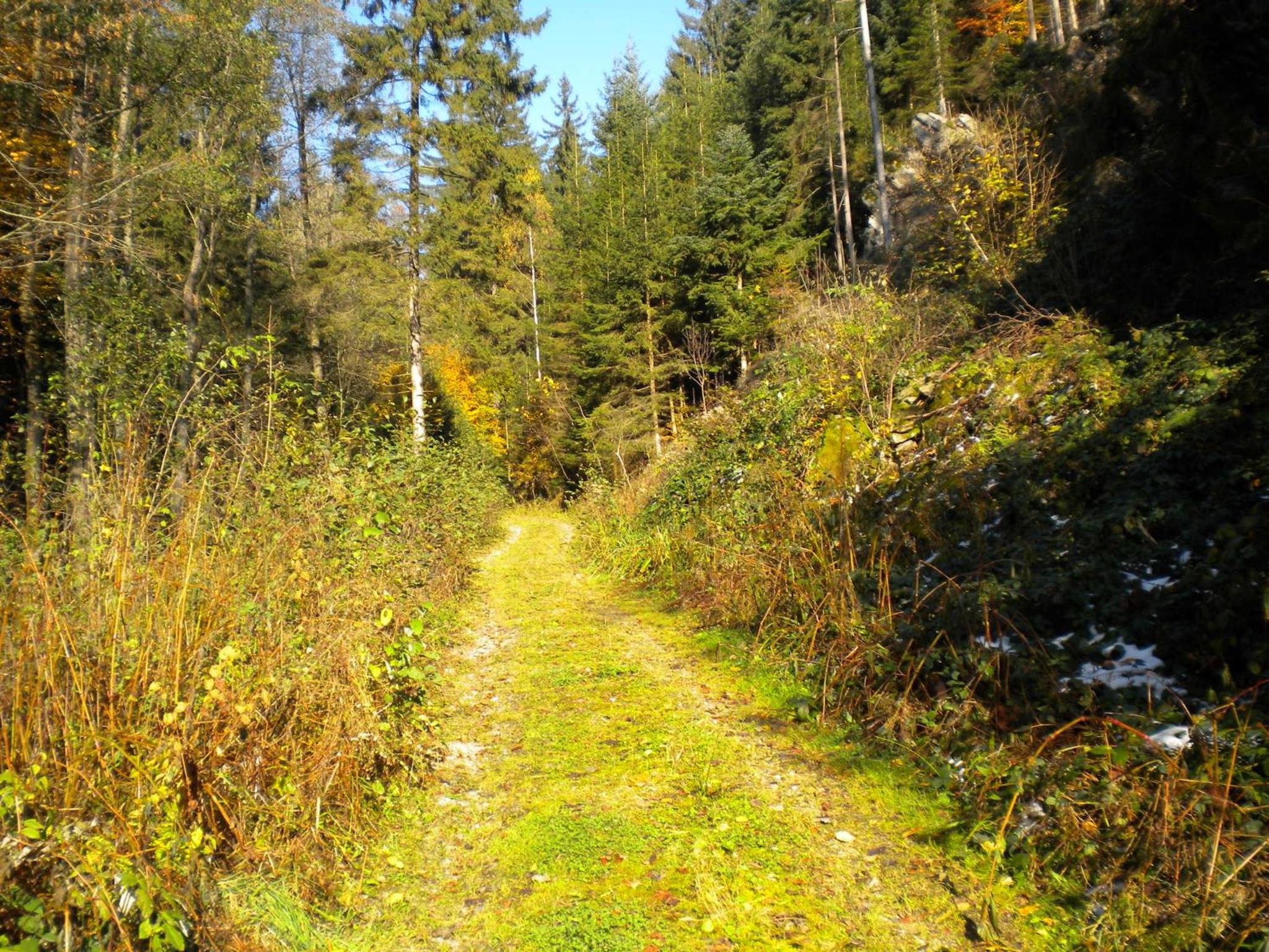 Photo 29
