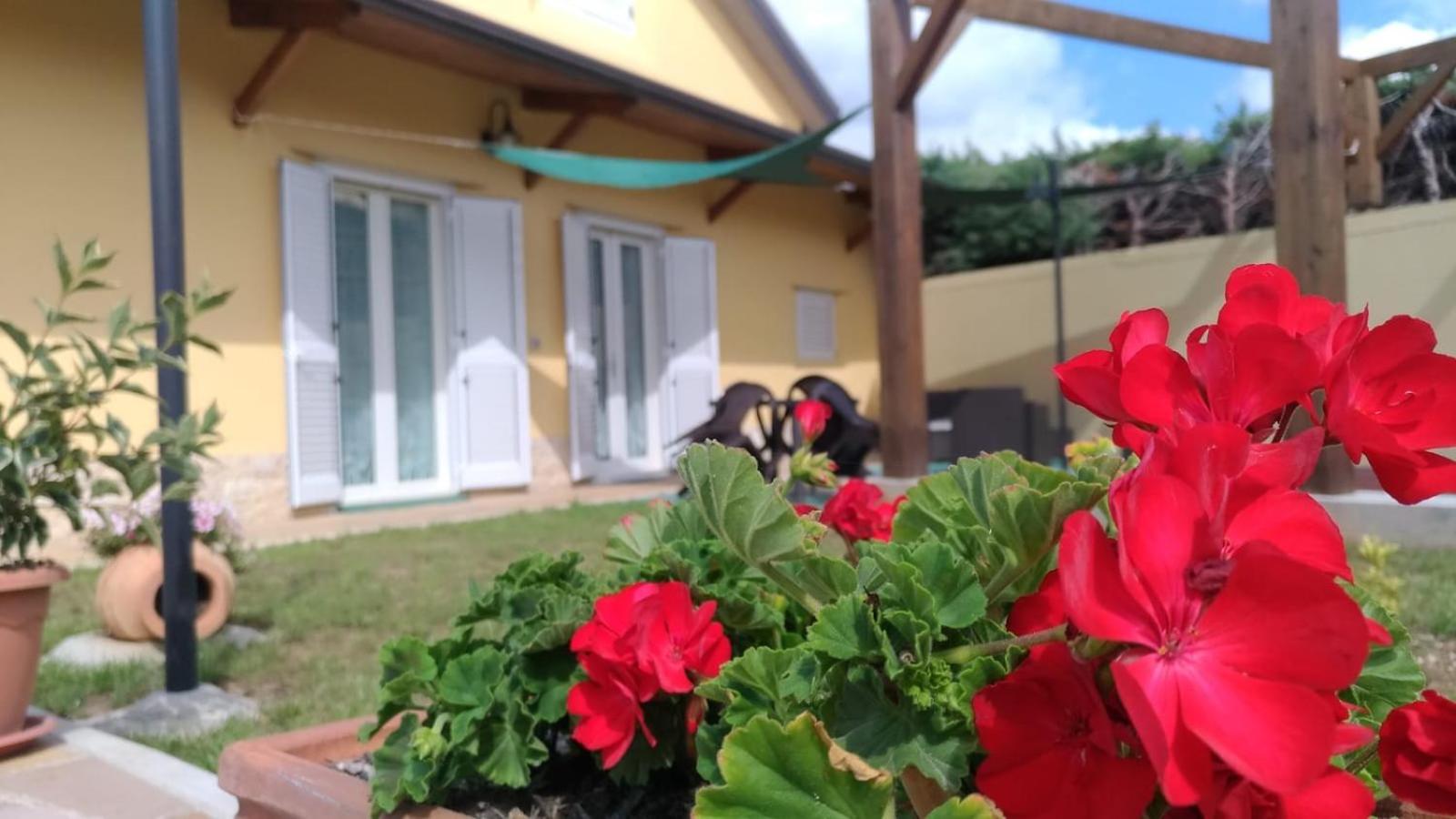B&B Ostello Villafranca
