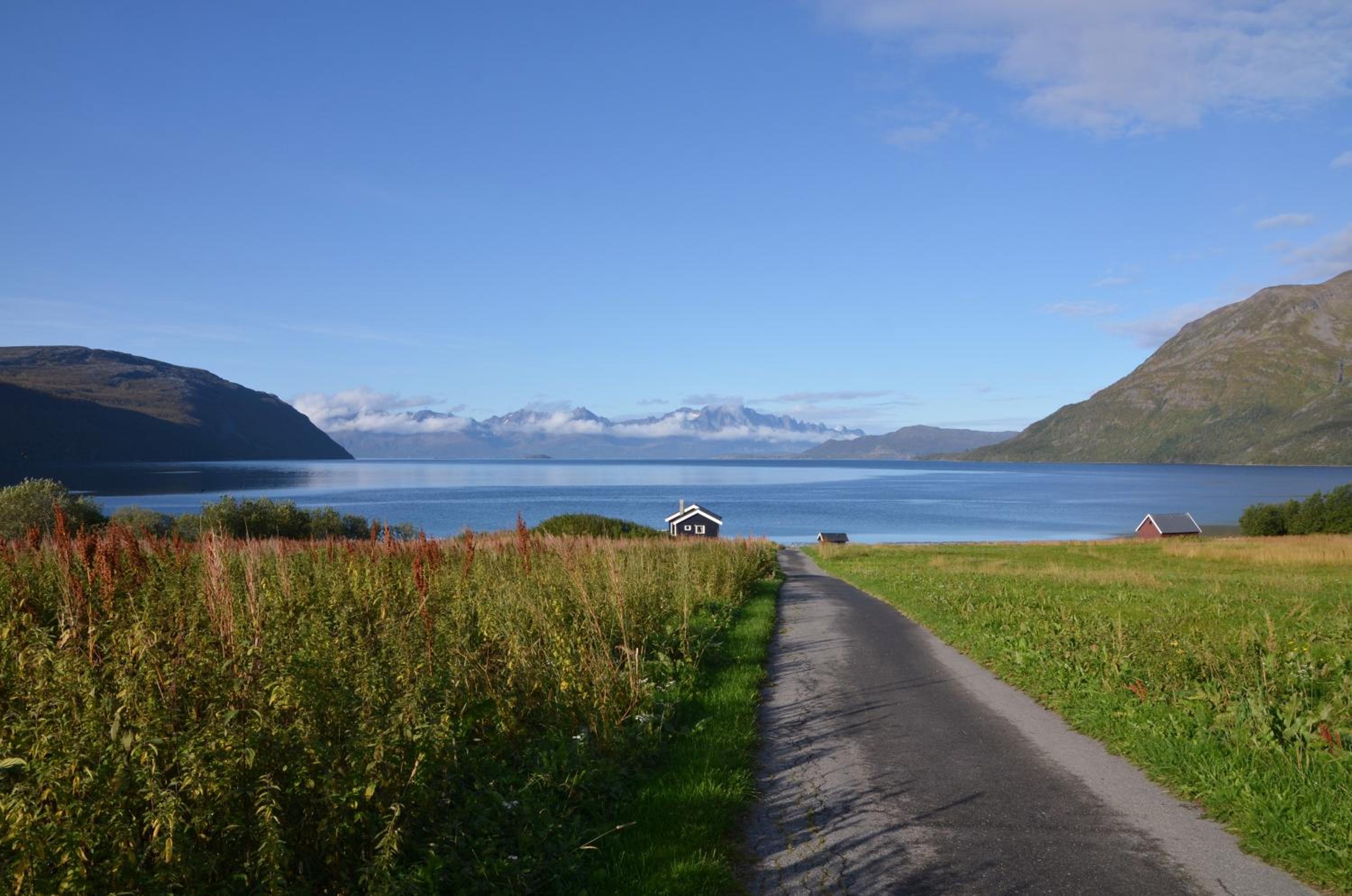 Arctic FjordCamp